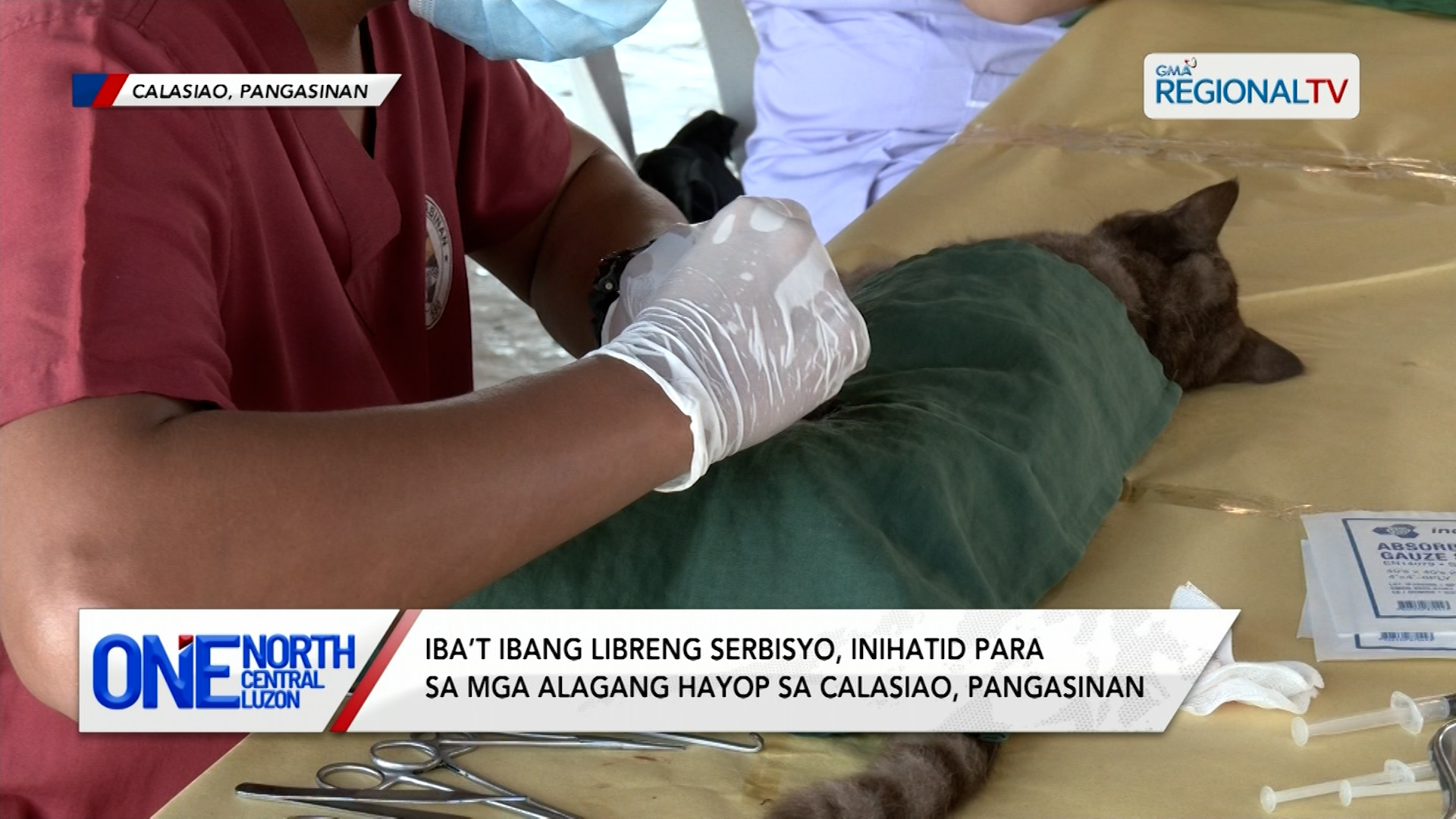 Iba’t ibang libreng serbisyo, inihatid para sa mga alagang hayop | One North Central Luzon