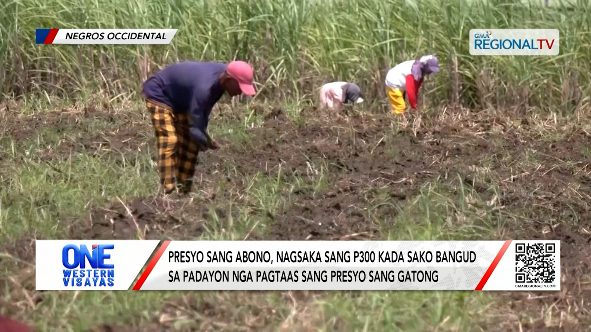 Presyo sang abono sa Negros Occidental, nagsaka sang P300 kada sako | One Western Visayas