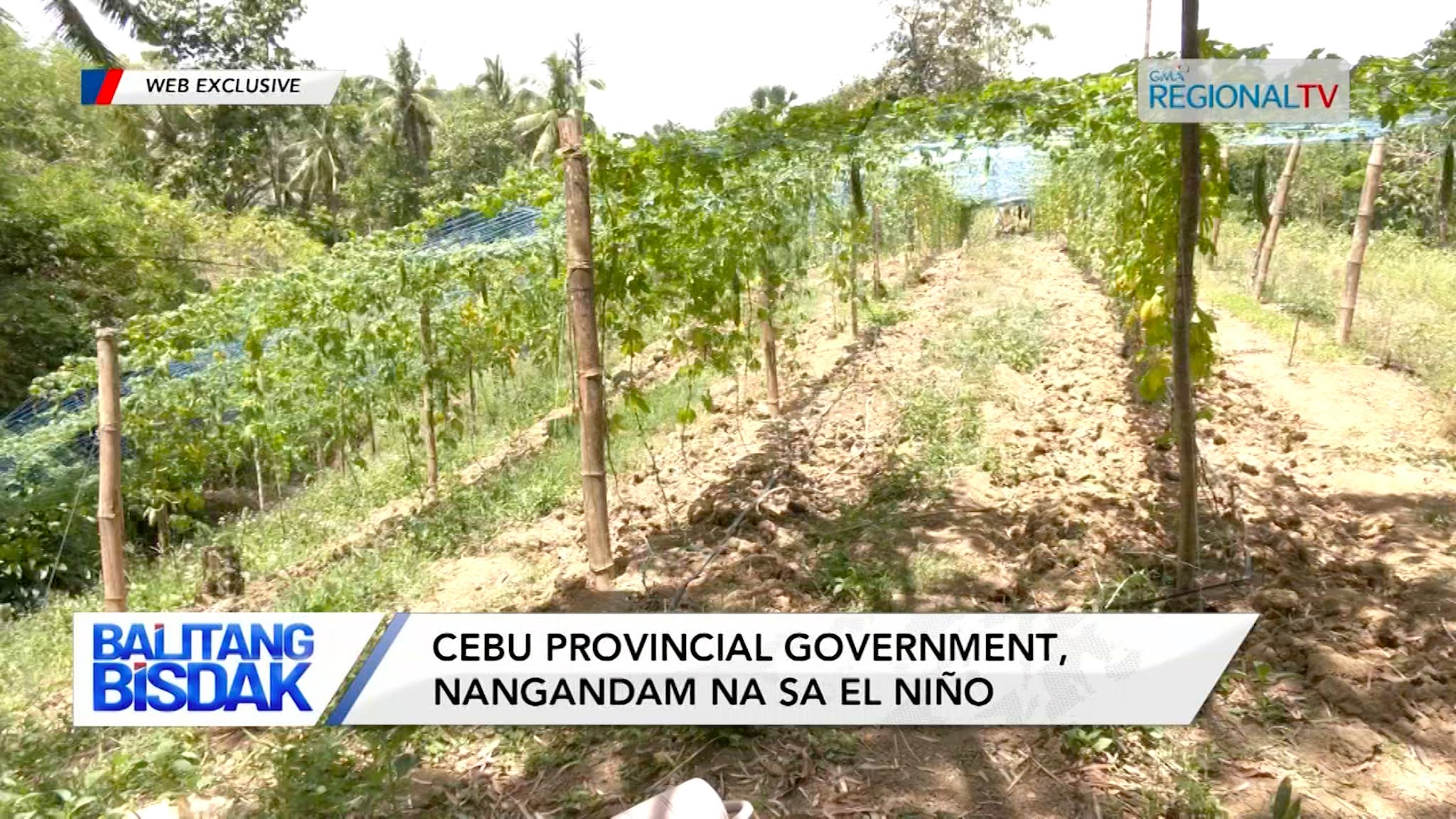Cebu Provincial Government, Nangandam na sa El Niño | Balitang Bisdak