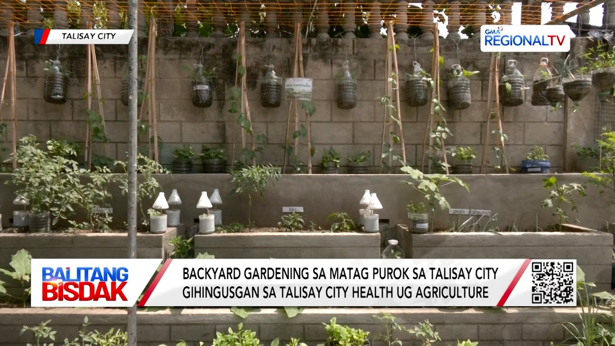 Backyard Gardening, Gihingusgan sa Talisay City Health ug Agriculture | Balitang Bisdak
