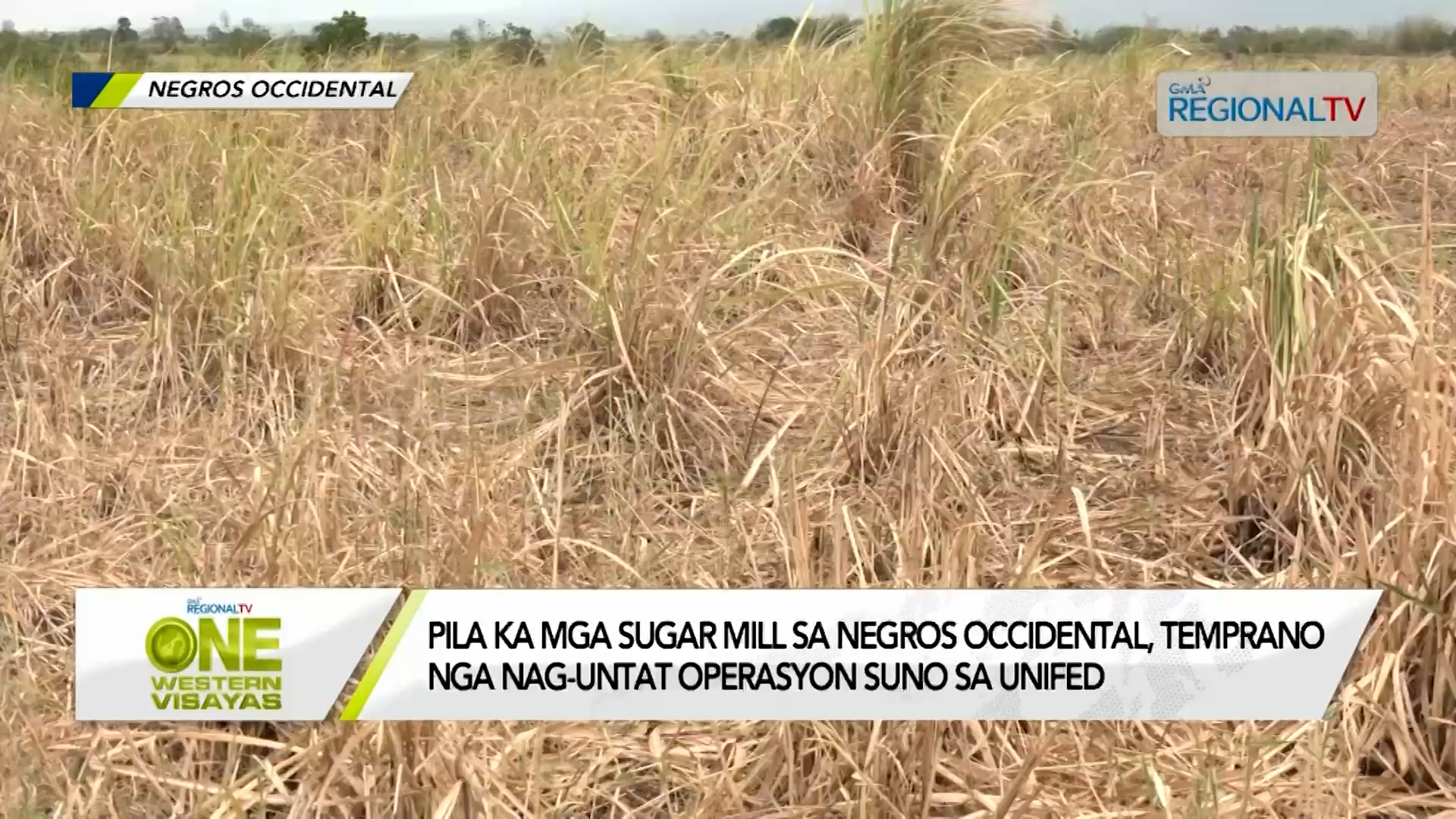 Pila ka mga sugar mill sa Negros Occidental temprano nga nagsira suno sa UNIFED
