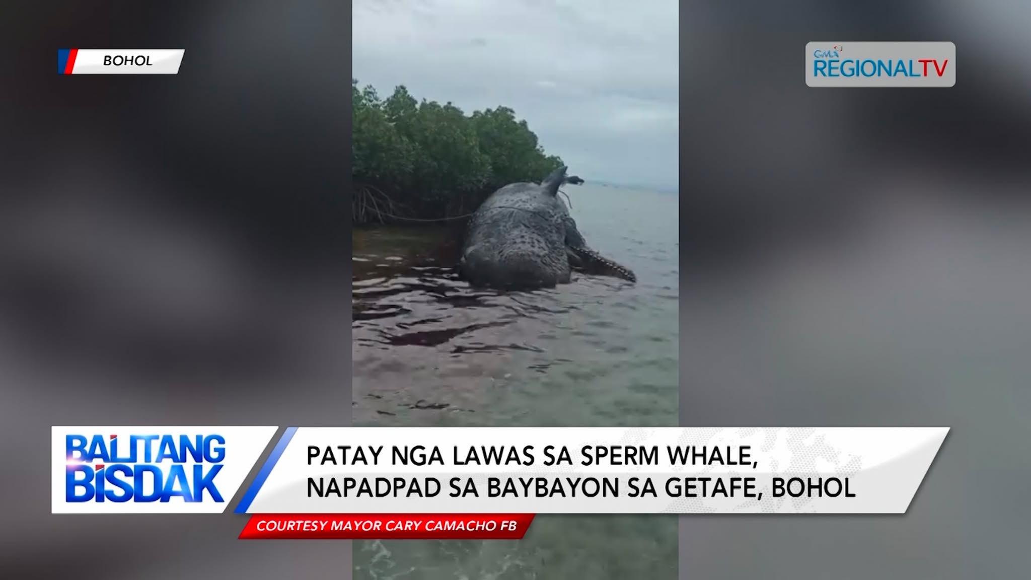 Ben va Gven porno oyin Porno jinsiy jingalak rus ayollar bilan