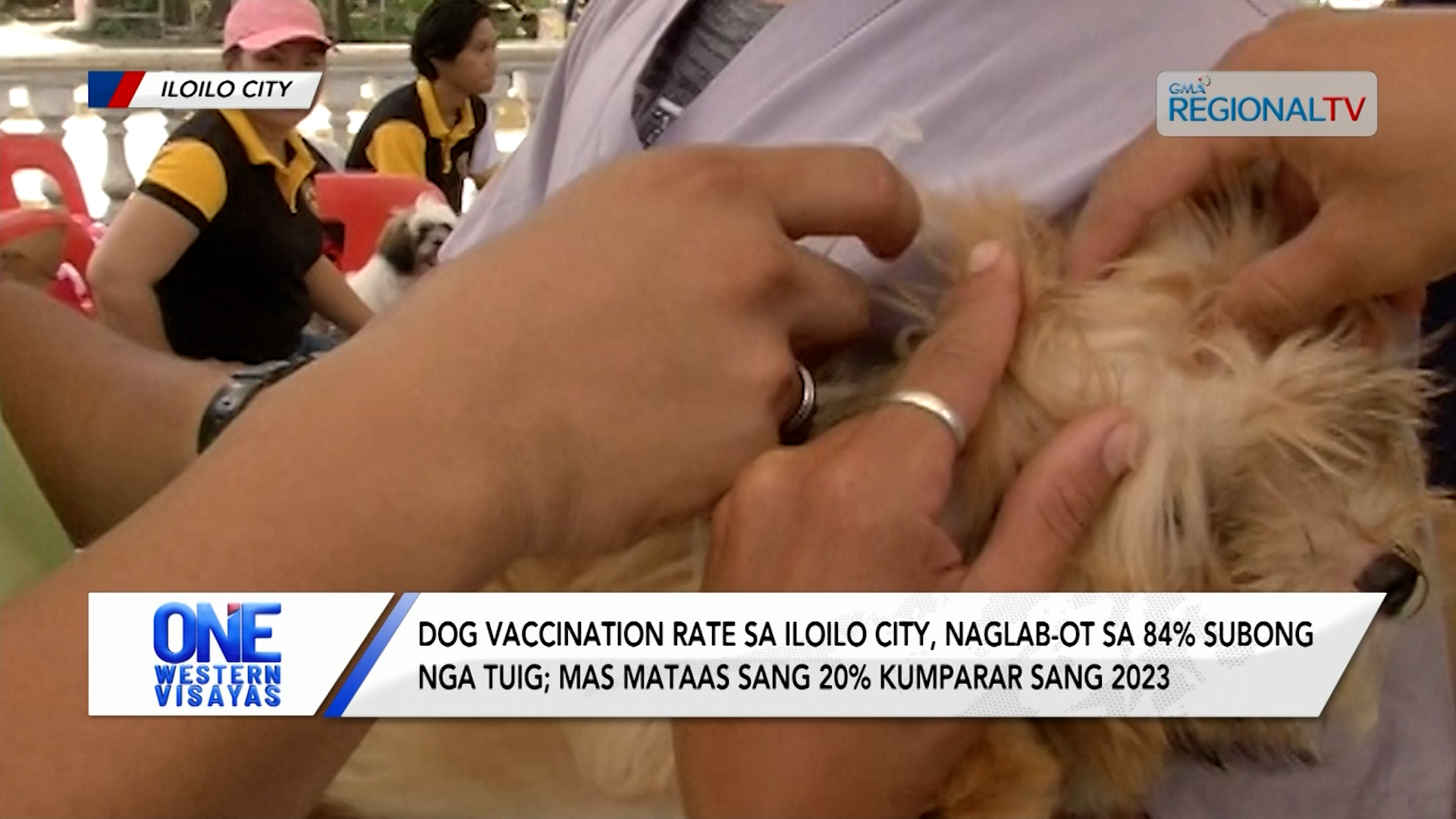 Dog vaccination rate sa Iloilo City, naglab-ot sa 84% subong nga tuig