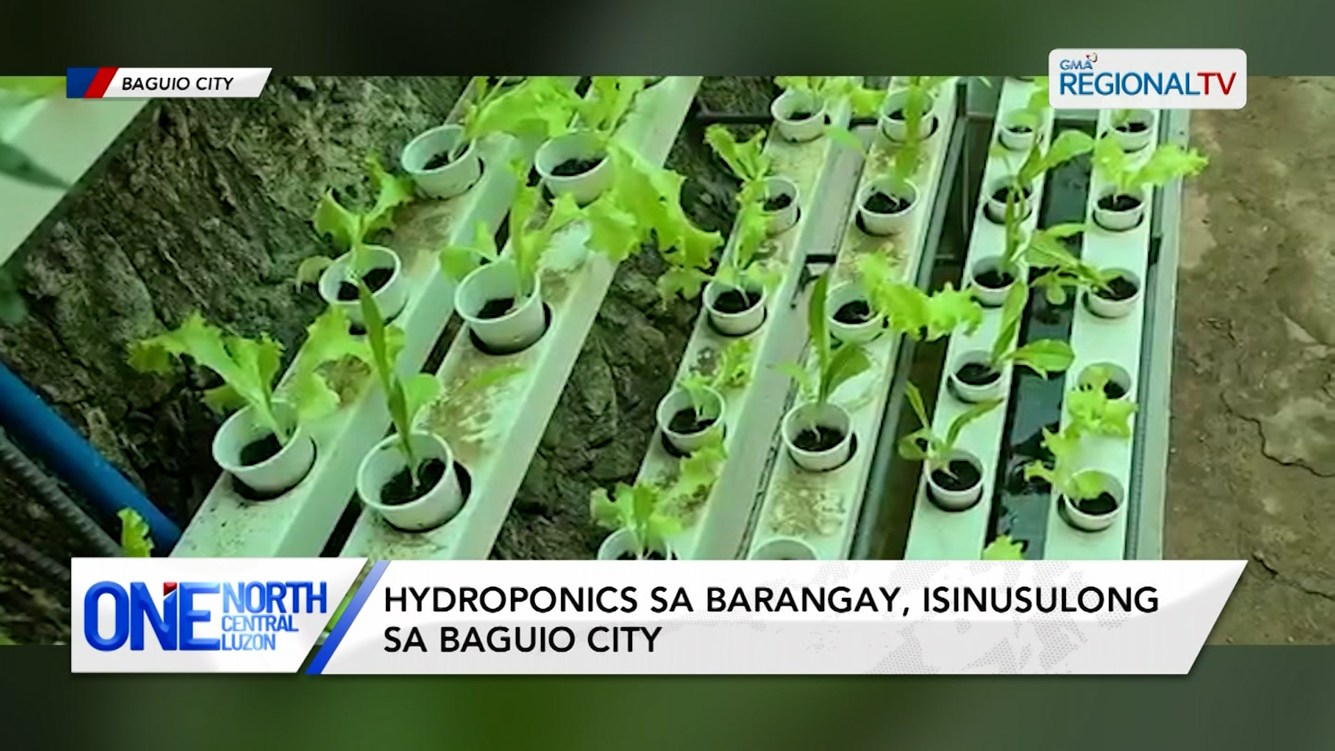 Hydroponics sa barangay, isinusulong sa Baguio City