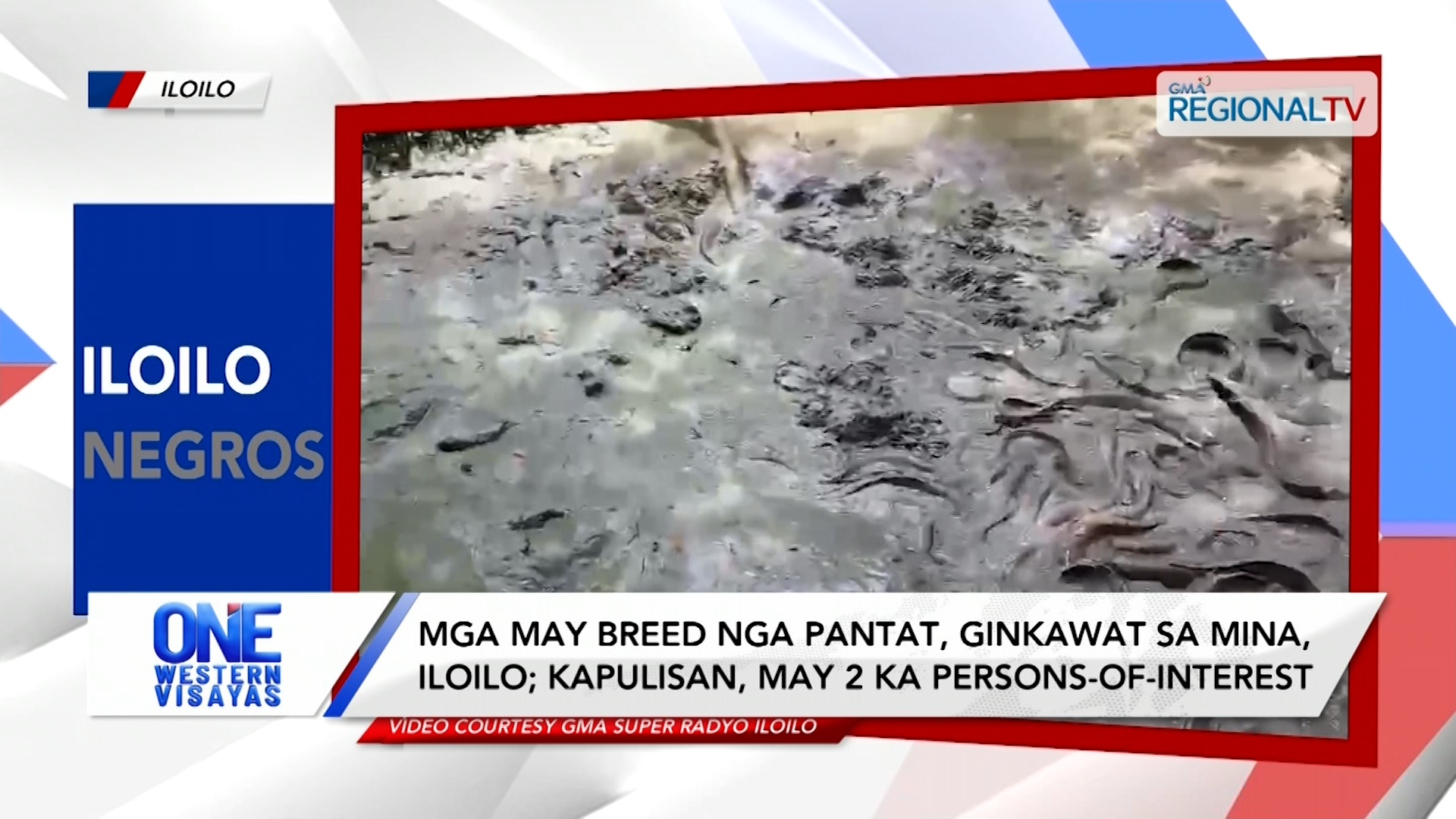 Mga pantat, ginkawat sa Mina, Iloilo; kapulisan, may 2 ka persons-of-interest