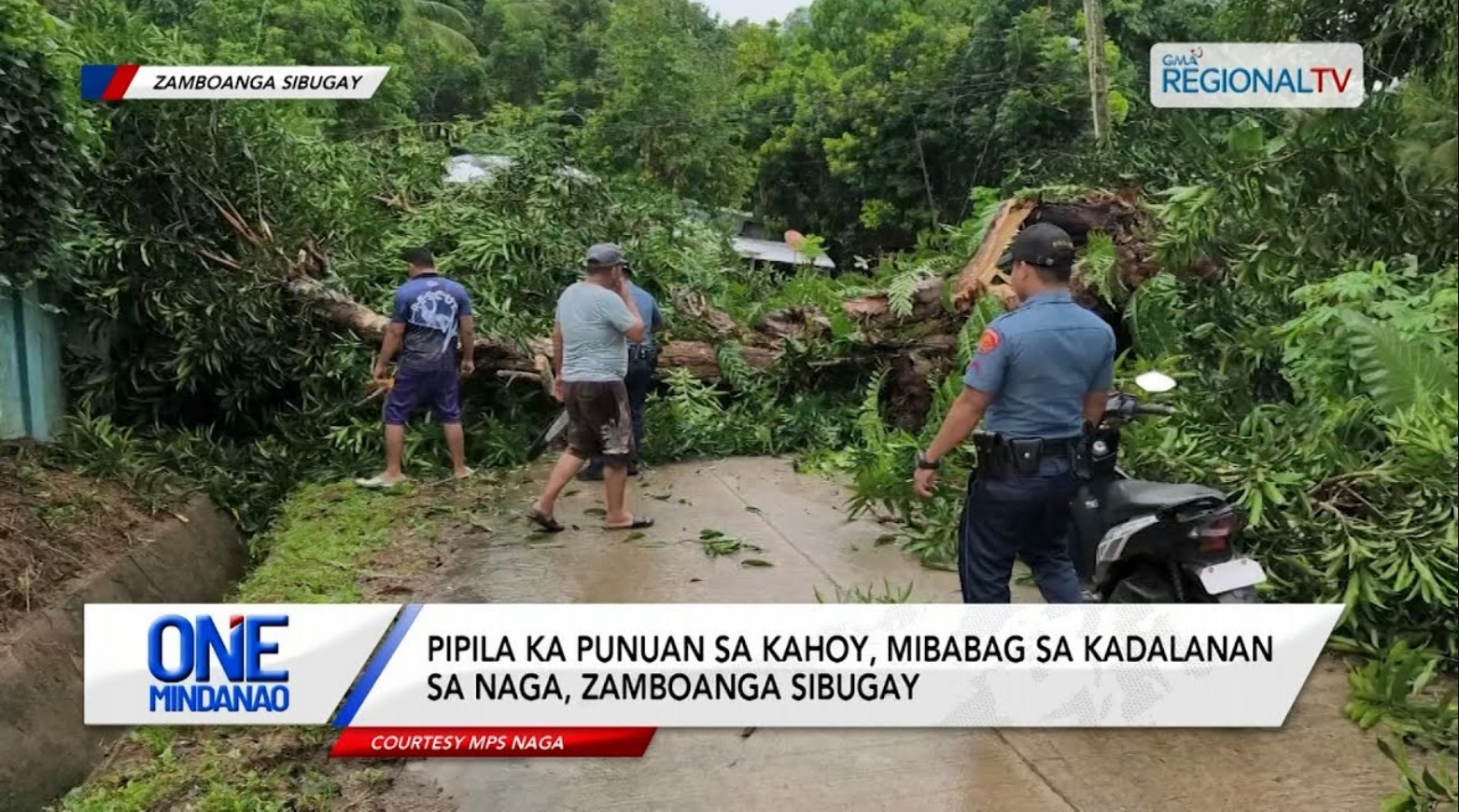 Bahin sa barangay road sa Panabo City, Davao del Norte, nahugno