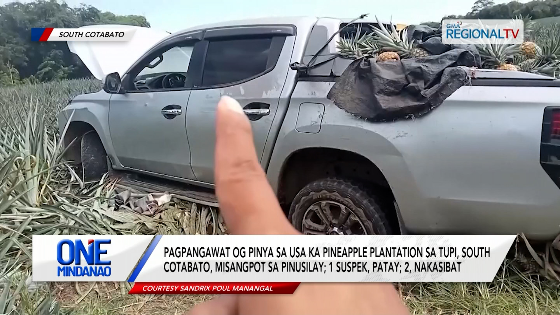 Pagpangawat og pinya sa pineapple plantation sa Tupi, misangpot sa pinusilay