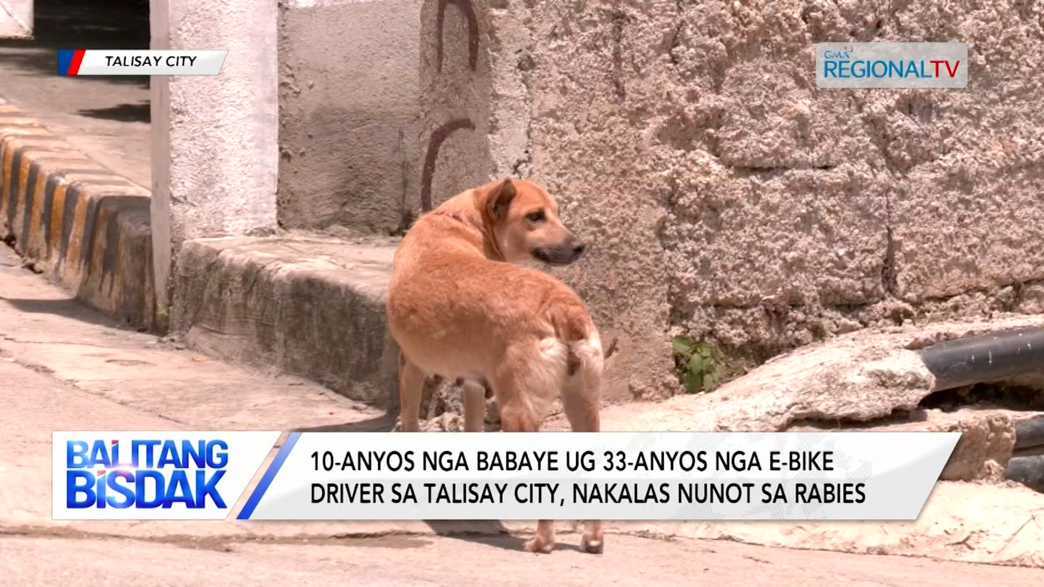 10-anyos nga babaye ug 33-anyos nga e-bike driver sa Talisay, nakalas sa rabies | Balitang Bisdak