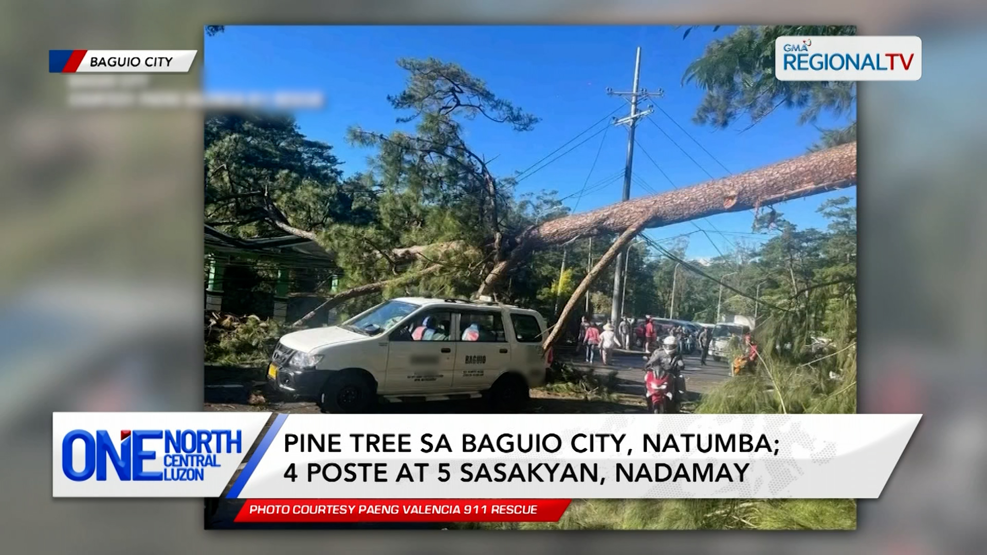 Pine tree sa Baguio City, natumba; 4 poste at 5 sasakyan, nadamay | One North Central Luzon