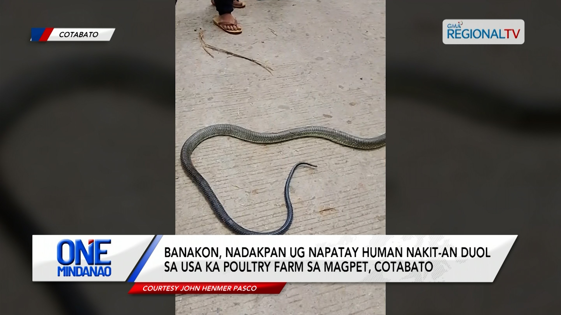 Banakon, nadakpan ug napatay sa Magpet, Cotabato | One Mindanao