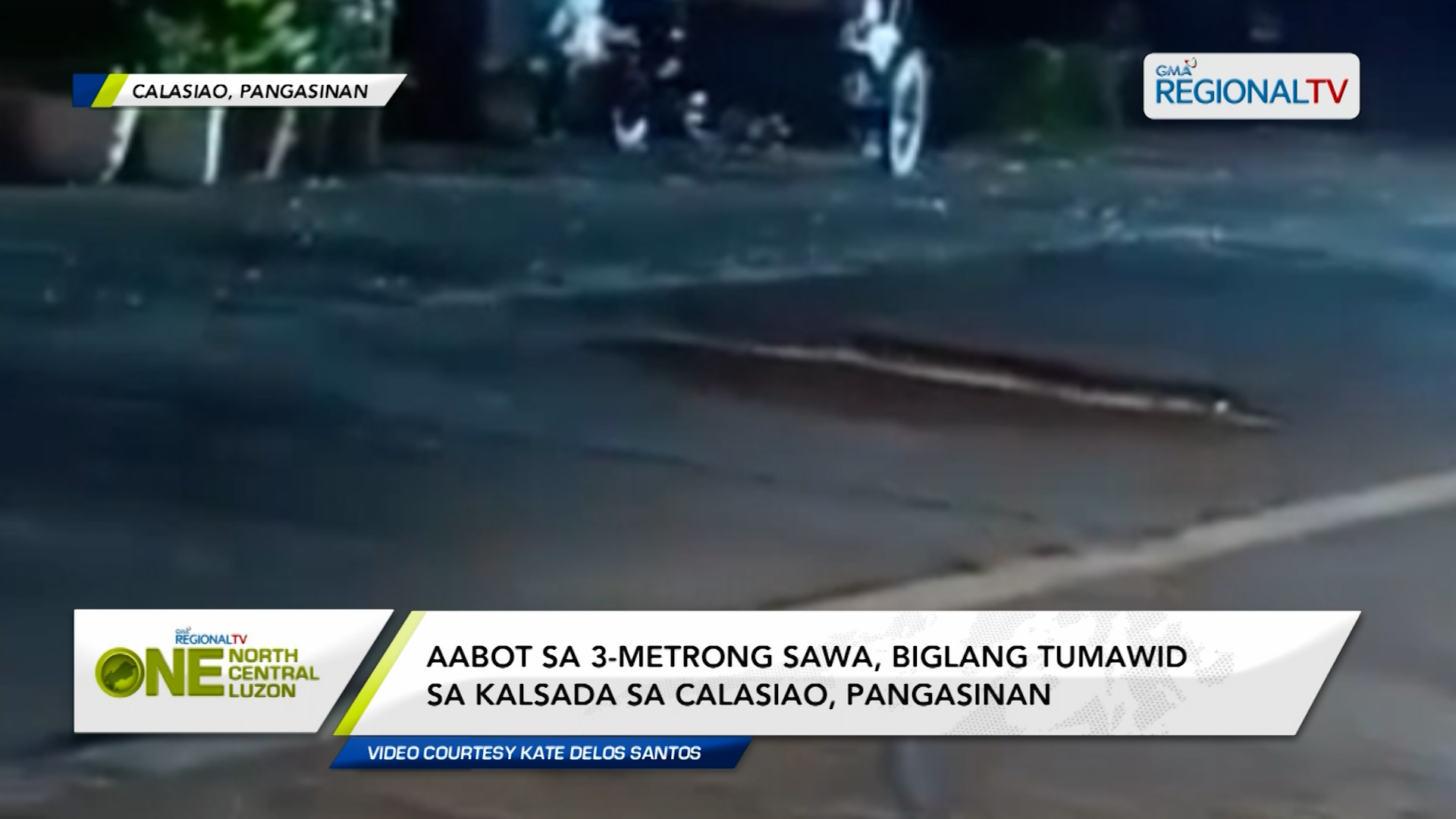 Aabot sa 3-metrong sawa, biglang tumawid sa kalsada sa Calasiao, Pangasinan