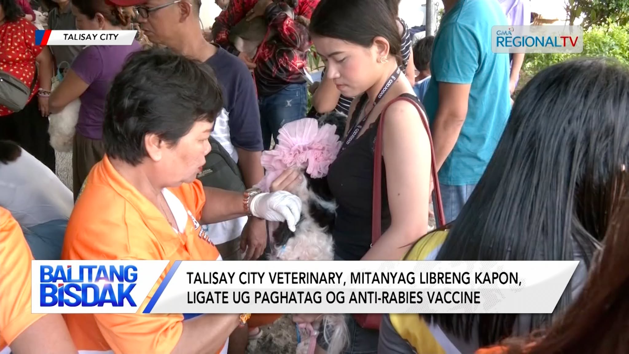 Kampanya batok rabies, gihingusgan sa Talisay City Veterinary