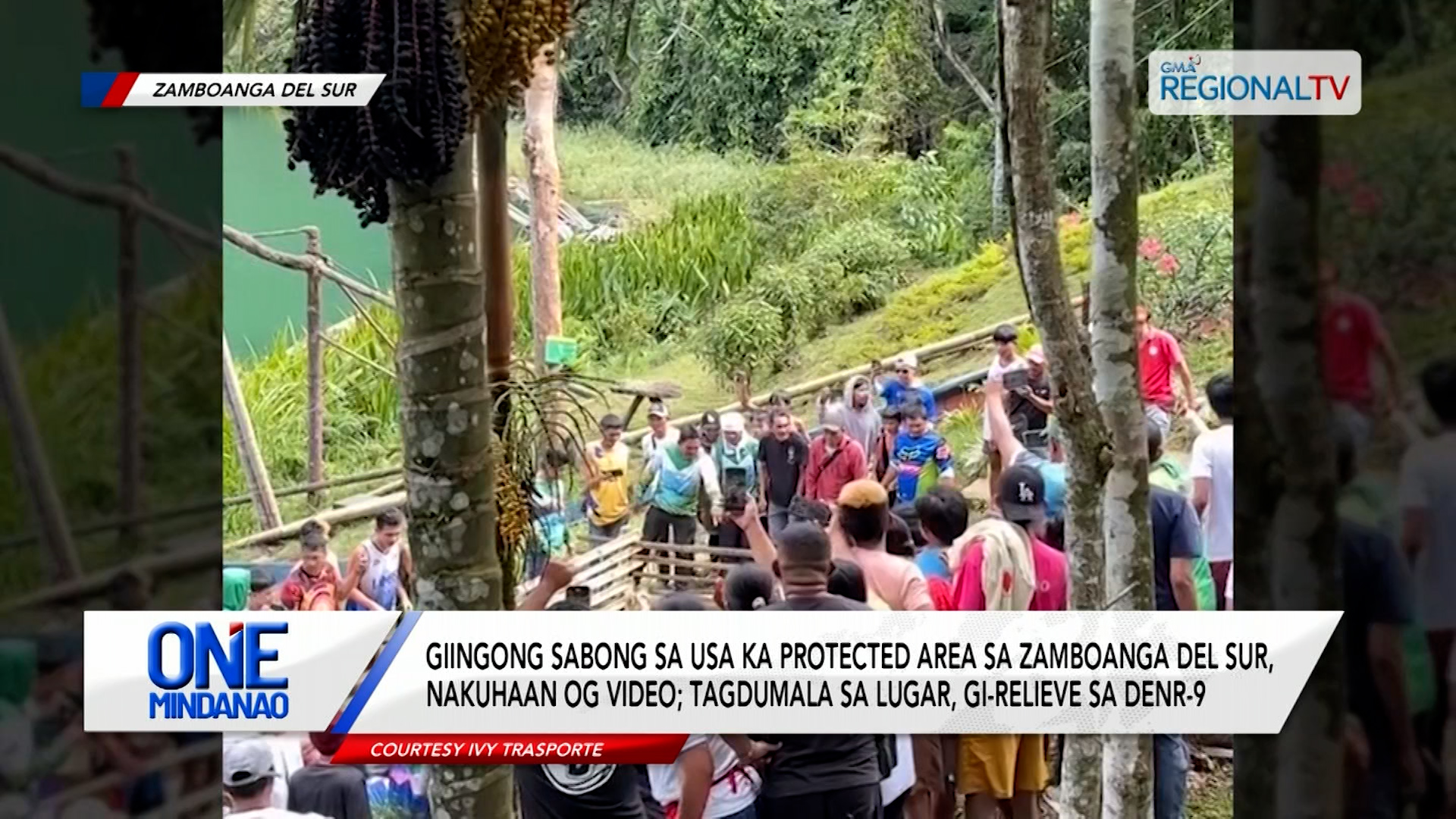 Giingong sabong sa usa ka protected area sa Zamboanga del Sur, nakuhaan