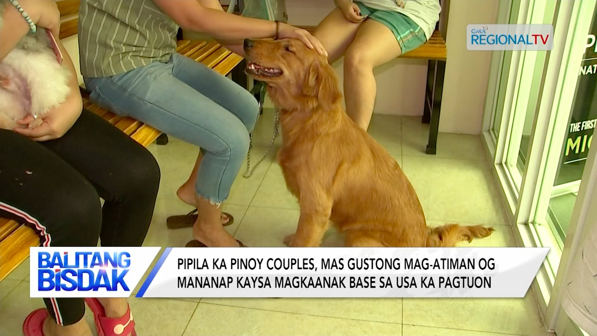 Pipila ka Pinoy couples, mas gustong mag-atiman og mananap kaysa magkaanak?