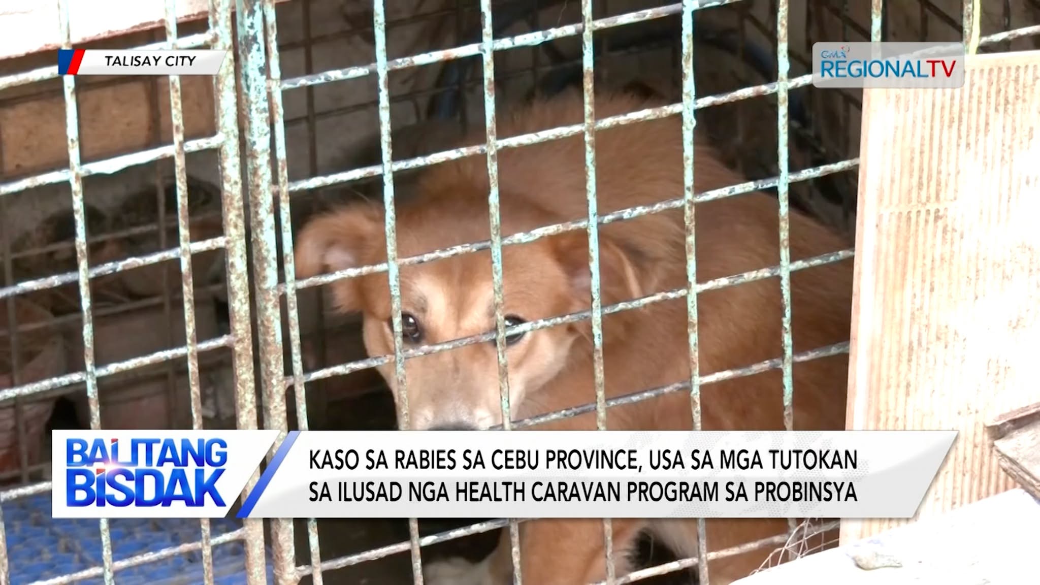 Rabies awareness campaign, ilakip sa health caravan sa Cebu Province | Balitang Bisdak