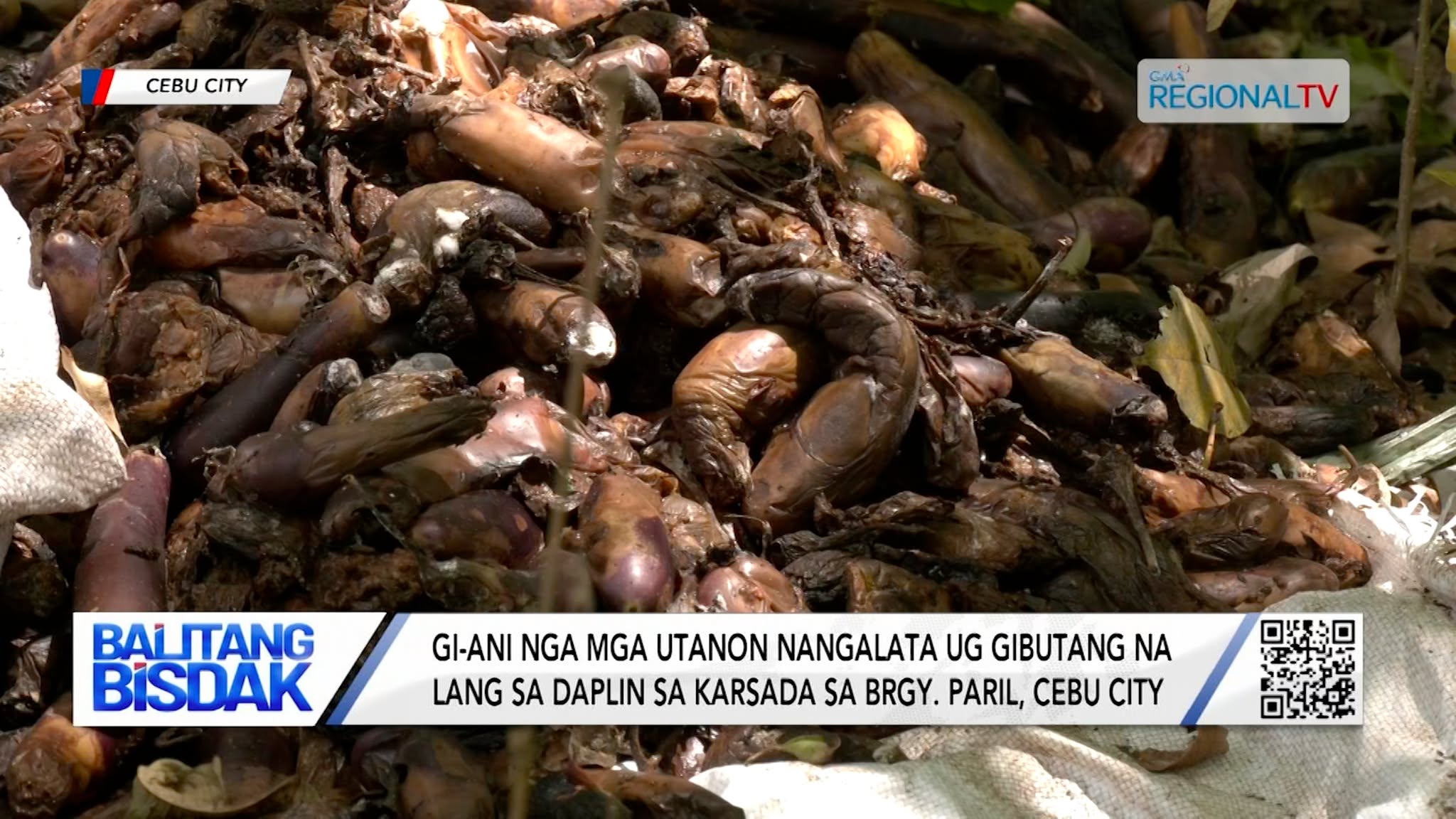 Mga utanon nga nangalata, gibutang daplin sa karsada sa Barangay Paril, Cebu City | Balitang Bisdak
