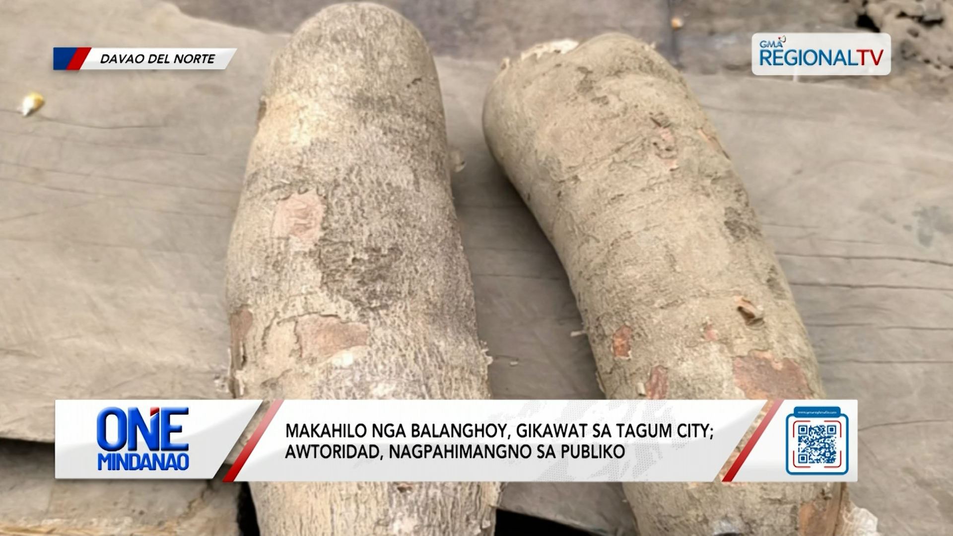Awtoridad nabalaka, human gikawat ang makahilo nga balanghoy | One Mindanao