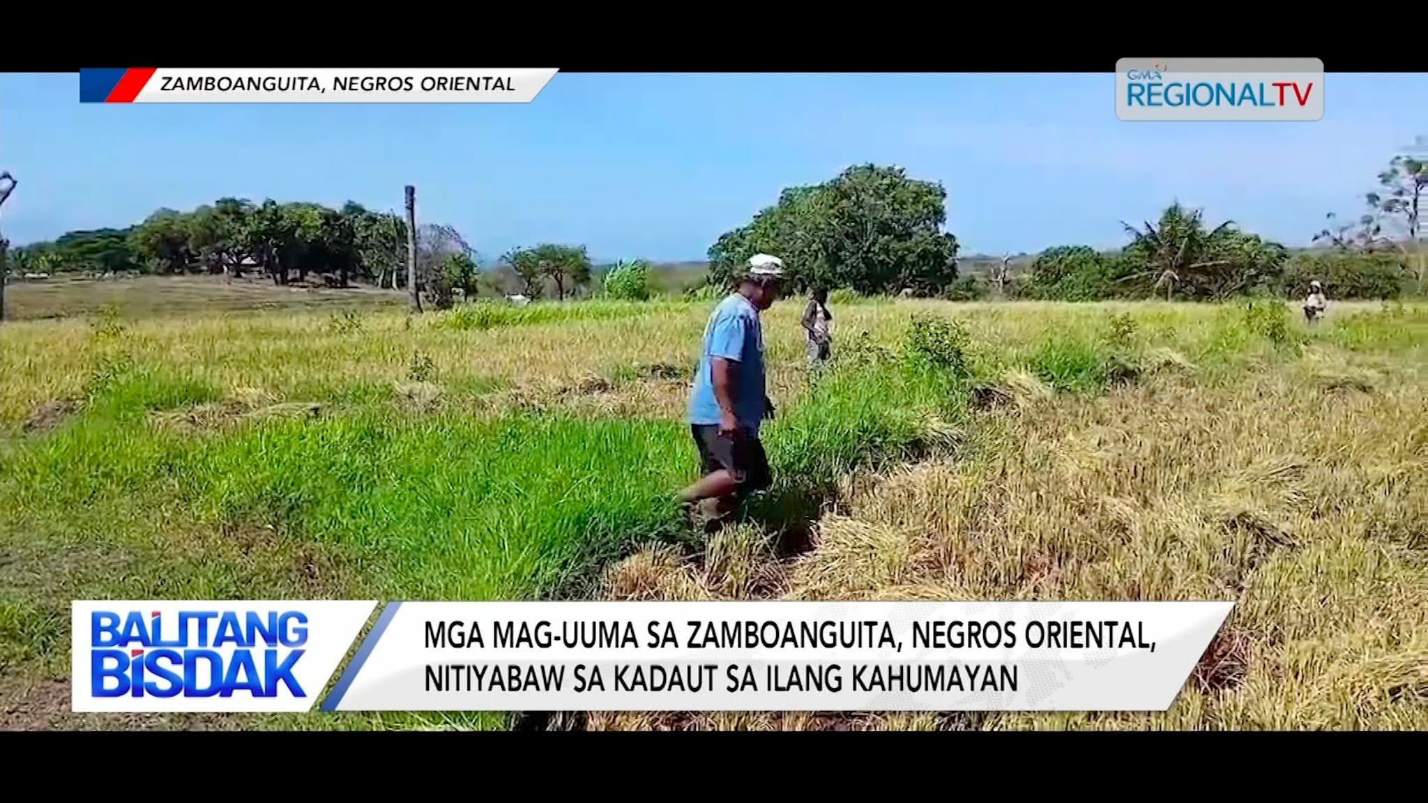 Mga Mag-uuma sa Zamboanguita, Negros Oriental, Nitiyabaw | Balitang Bisdak