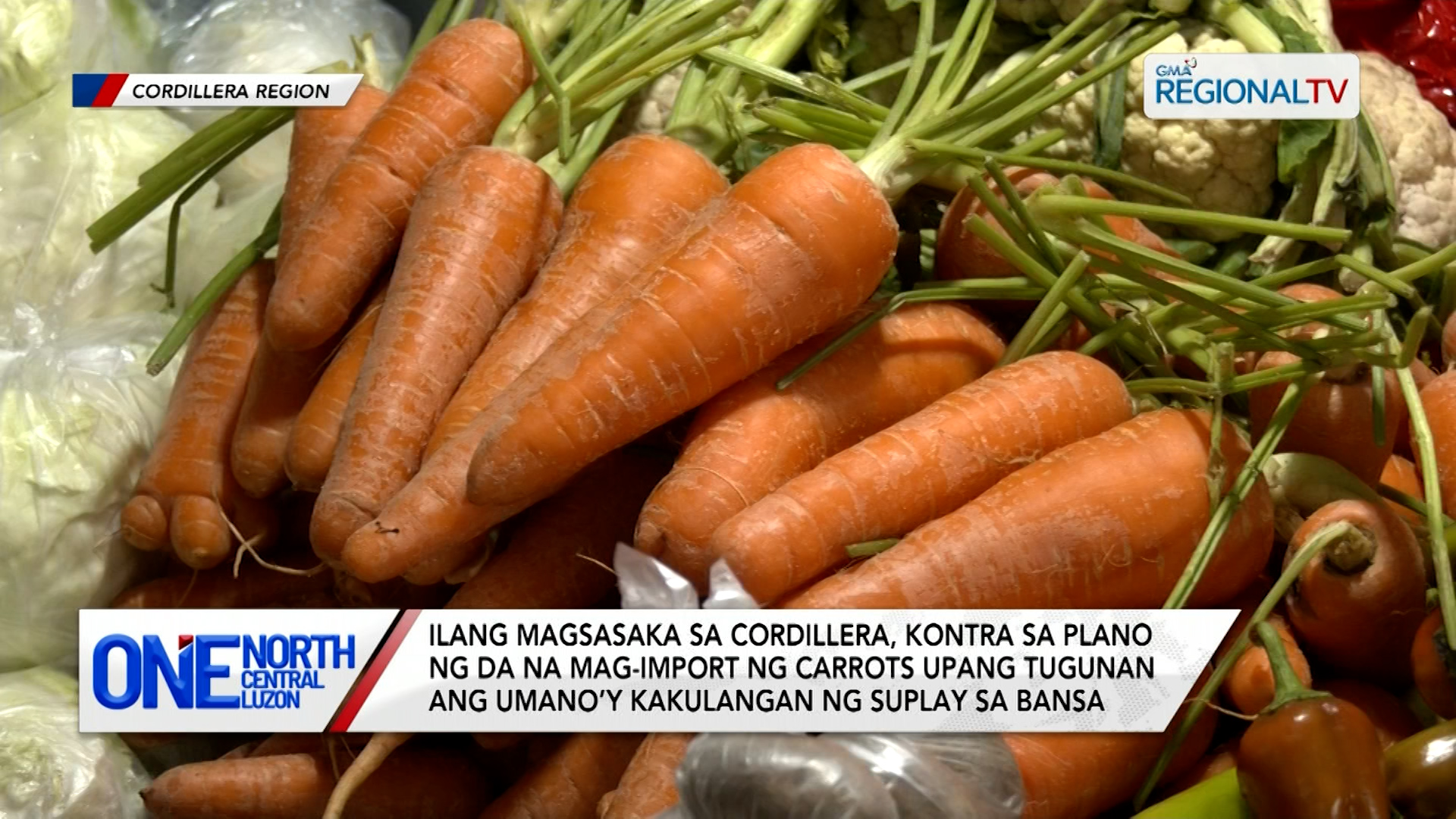 Ilang magsasaka sa Cordillera, kontra sa plano na mag-import ng carrots | One North Central Luzon