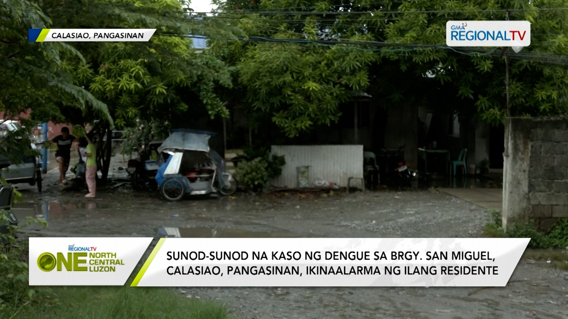 14 death cases ng dengue, naitala ng Pangasinan PHO