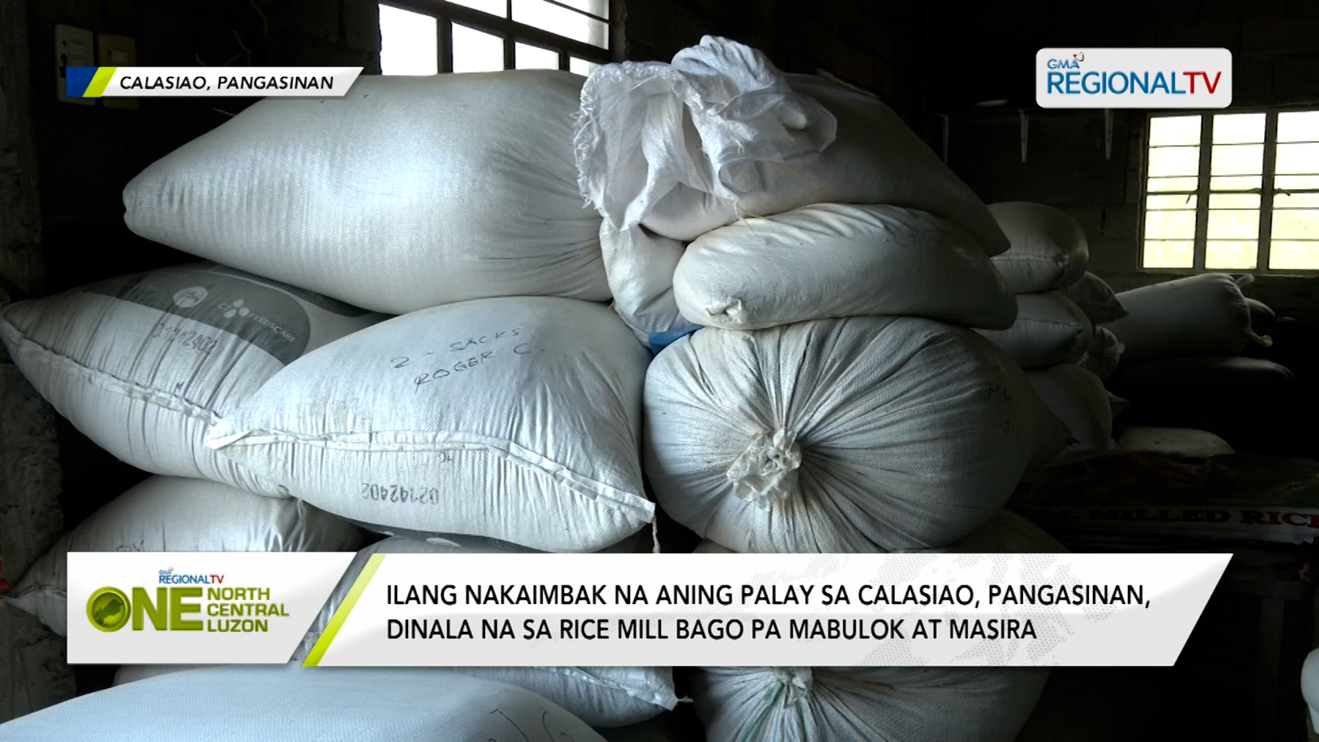 Nakaimbak na aning palay sa Calasiao, dinala na sa rice mill bago pa masira