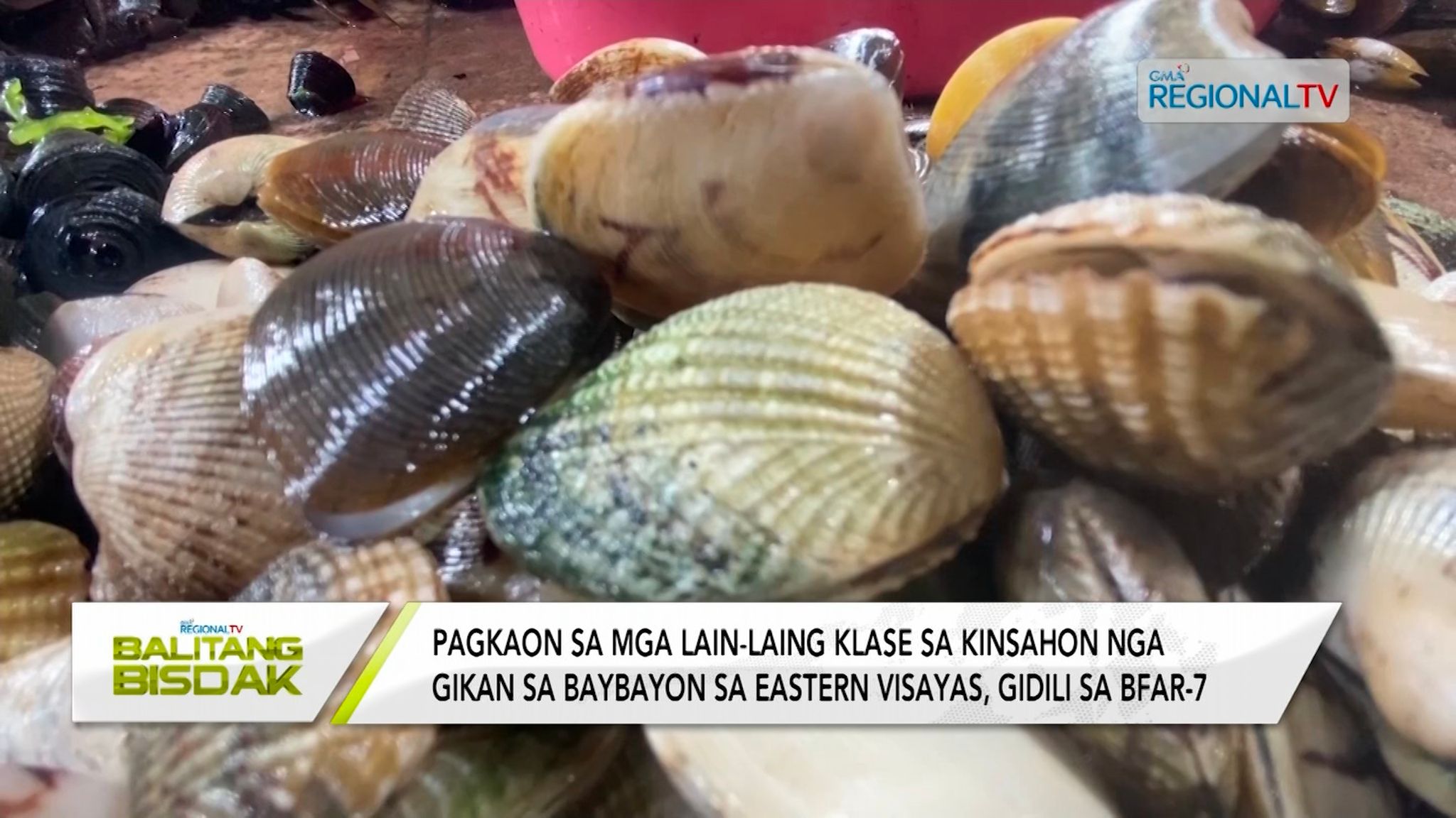 Red tide alert, giisa sa BFAR-7 sa pito ka mga lugar sa Eastern Visayas