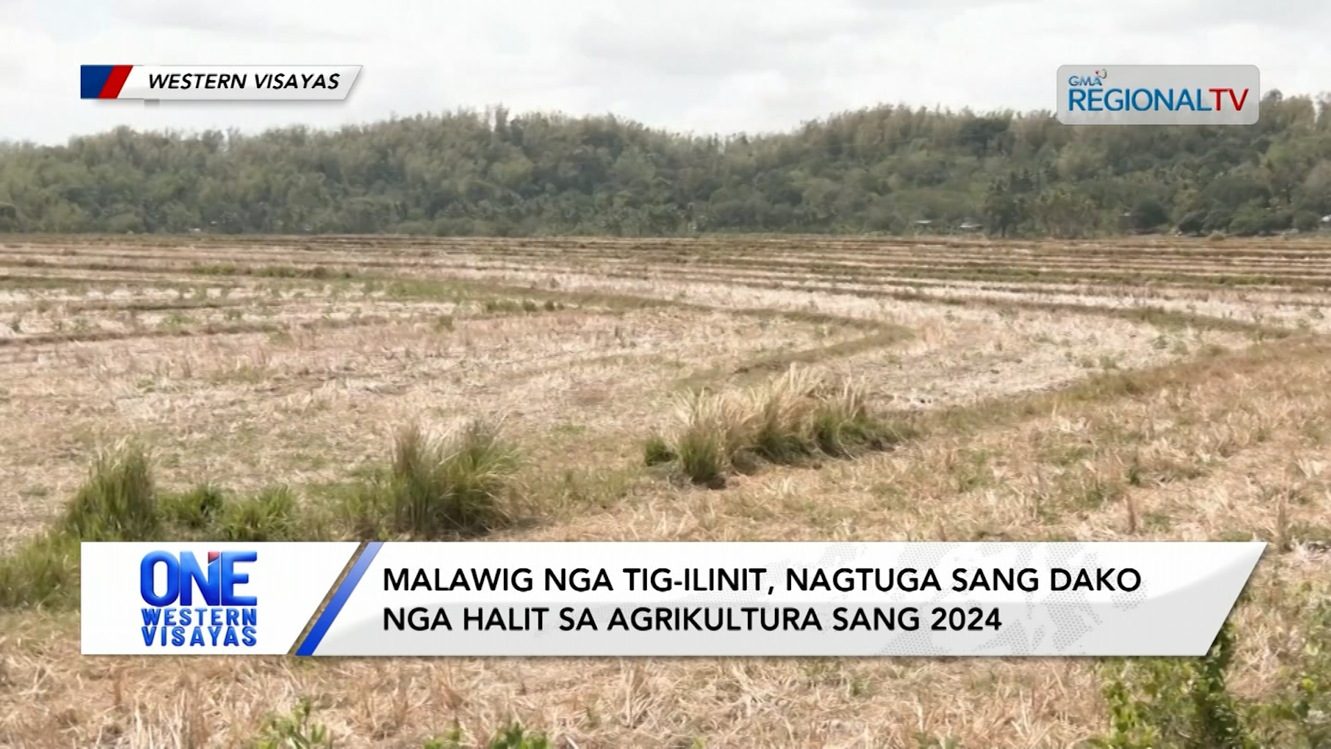 Malawig nga tig-ilinit, nagtuga sang dako nga halit sa agrikultura sang 2024