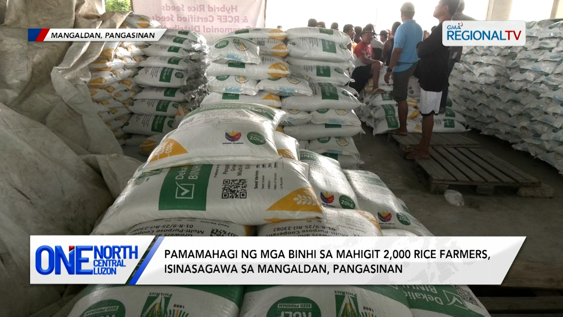 Pamamahagi ng mga binhi sa mahigit 2,000 rice farmers, isinasagawa