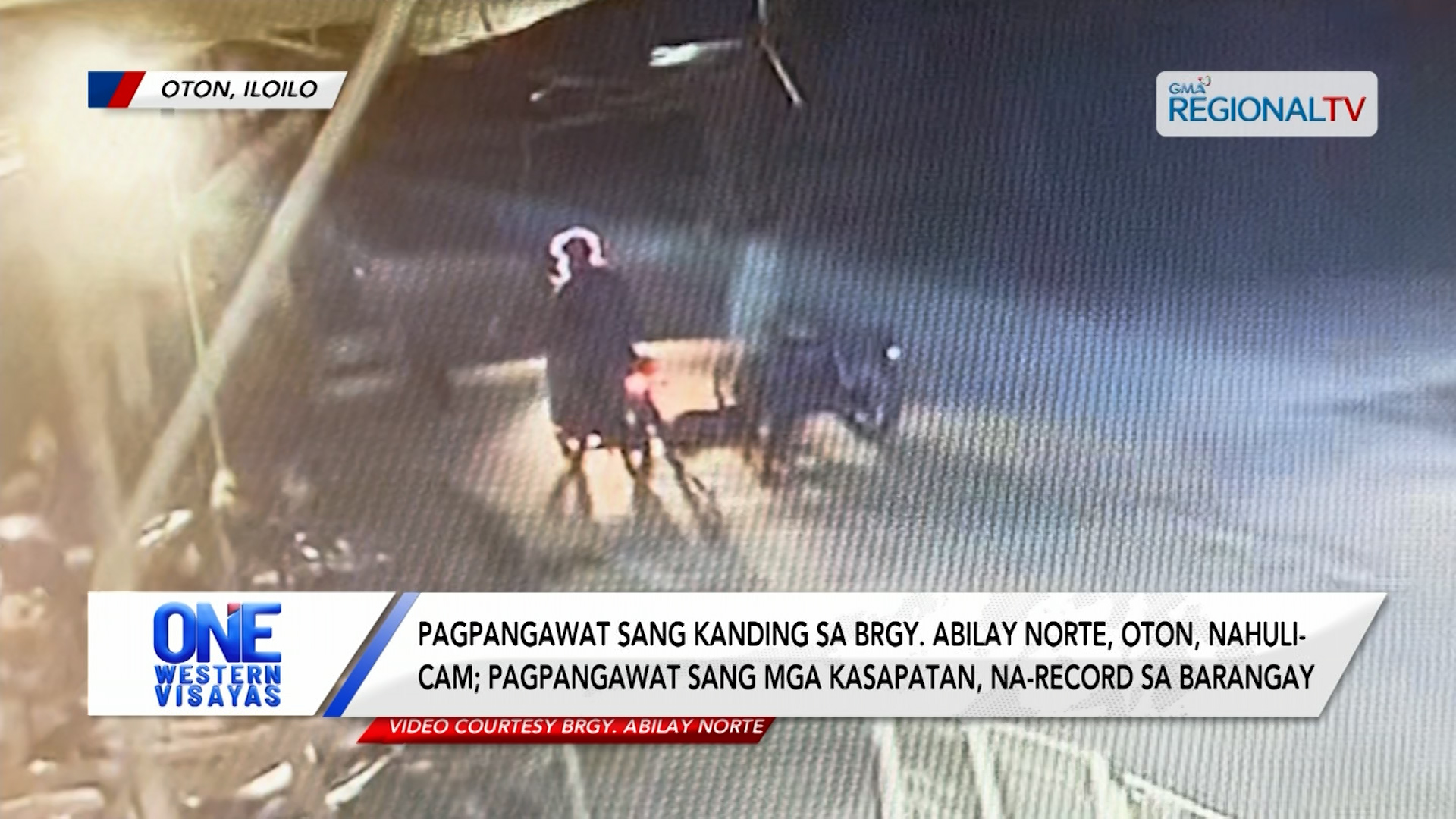 Pagpangawat sang kanding sa Brgy. Abilay Norte, Oton, nahuli-cam