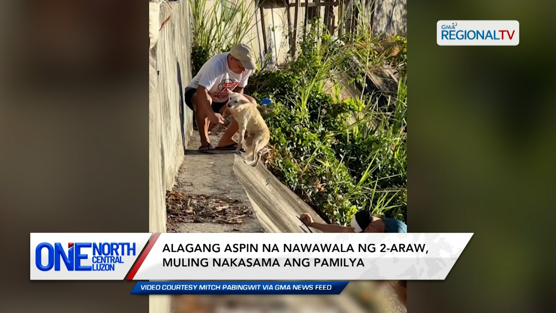 Alagang aspin na nawawala ng 2-araw, muling nakasama ang pamilya | One North Central Luzon