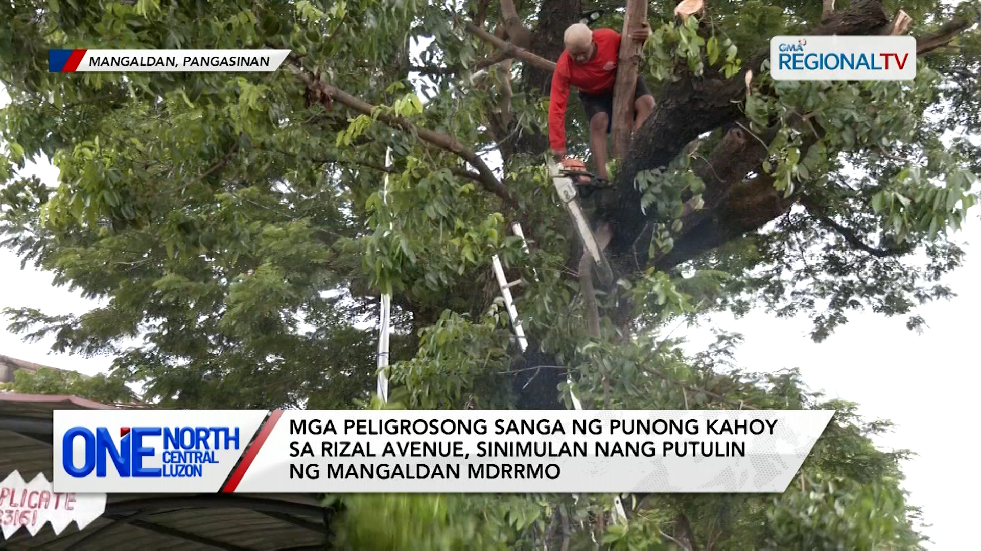 Mga peligrosong sanga ng puno sa Rizal Avenue, sinimulan nang putulin | One North Central Luzon