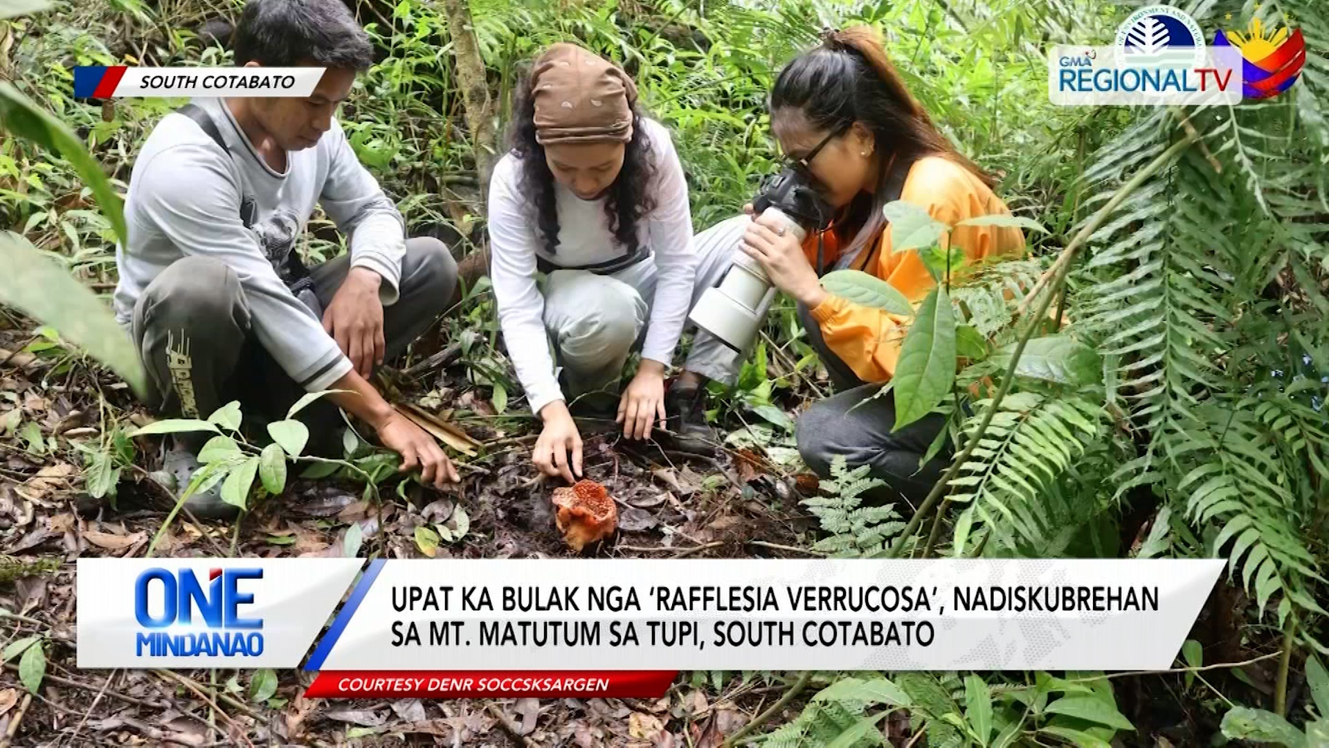 Bulak nga ‘Rafflesia Verrucosa’, nadiskubrehan sa Mt. Matutum