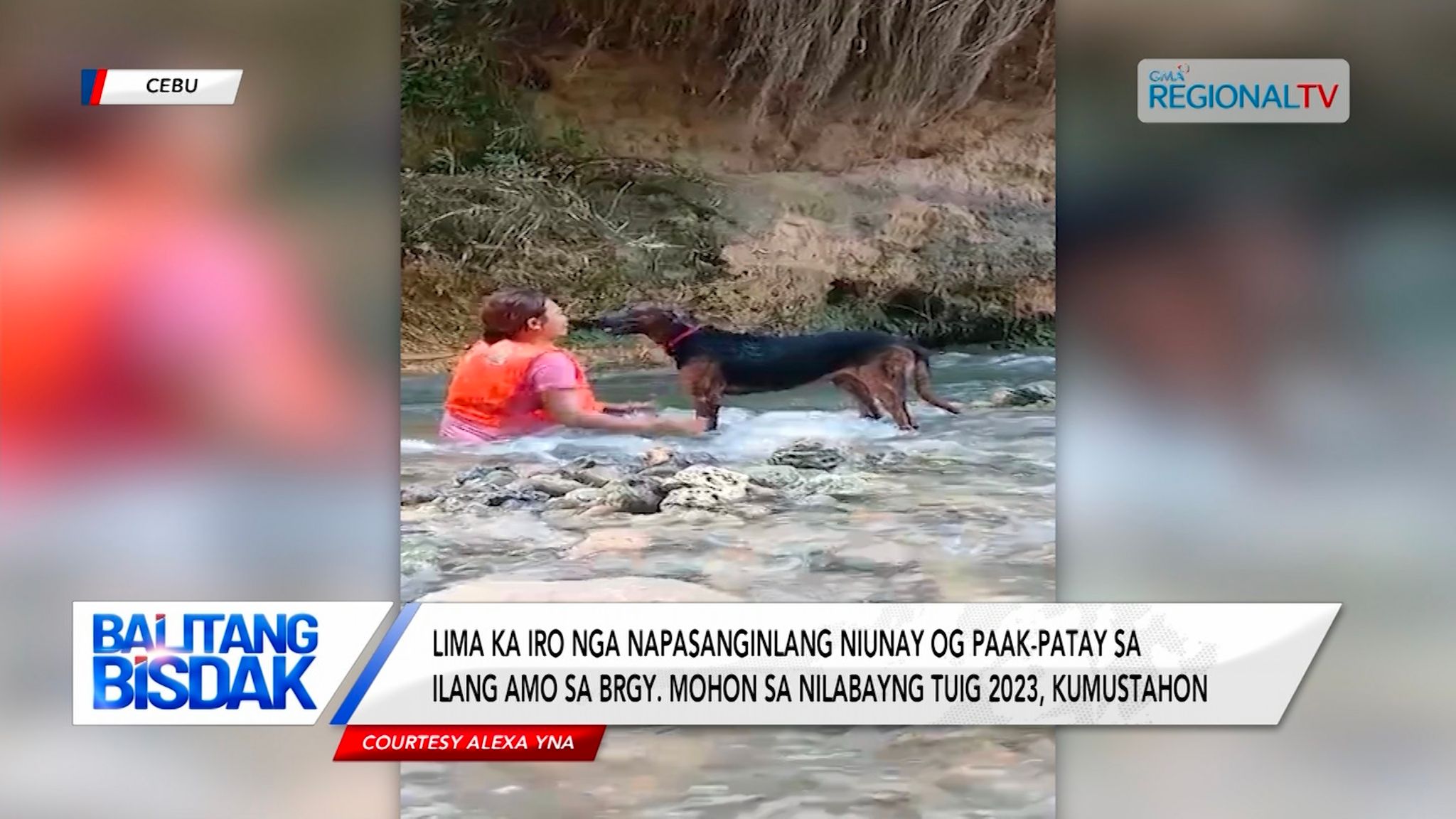 Ang mga irong sila 'Spike and Friends,' kumusta na kaha?