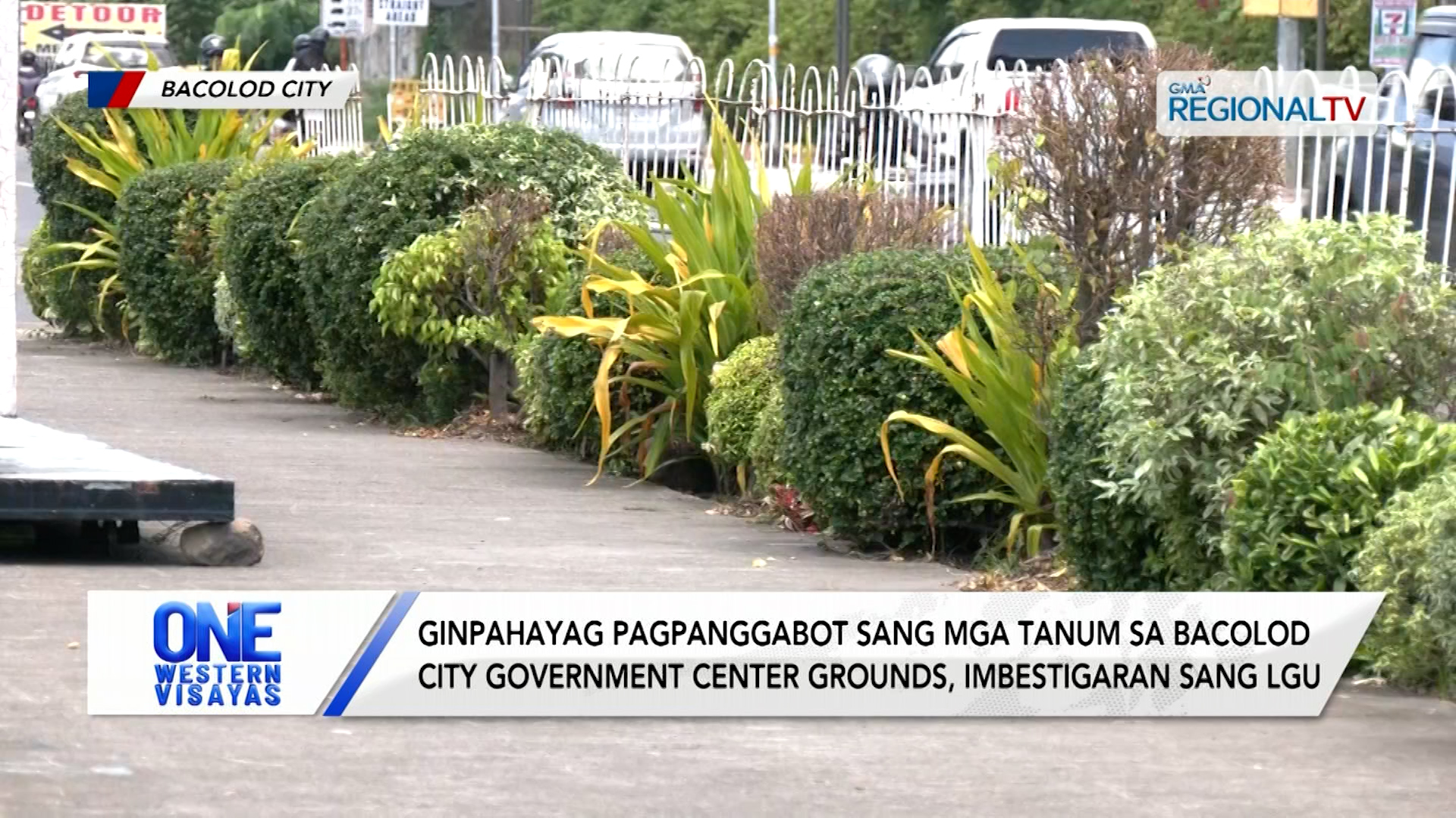 Ginpahayag pagpanggabot sang mga tanum sa Bacolod CGC grounds, imbestigaran