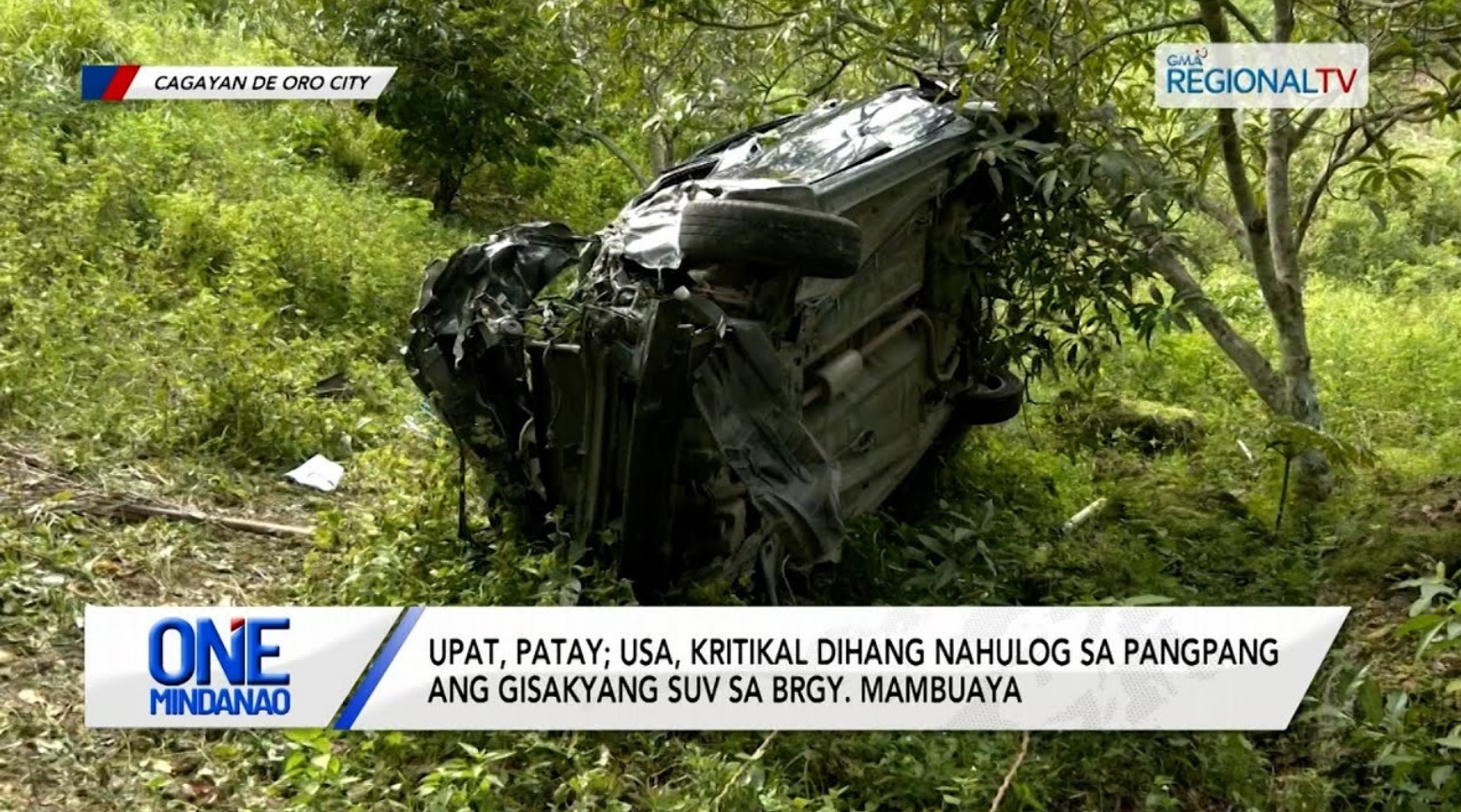 Upat, patay; usa, kritikal dihang nahulog sa pangpang ang gisakyang multicab | One Mindanao