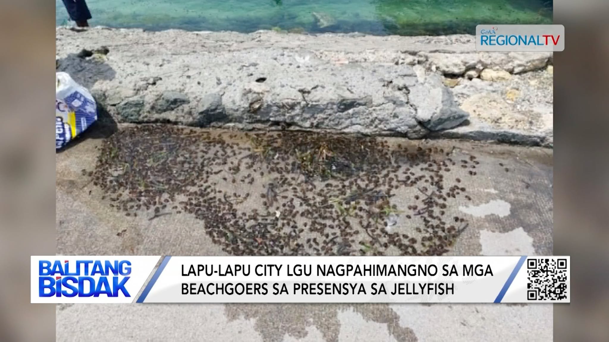 LLC LGU Nagpahimango sa mga Beachgoer sa Presensya sa Jellyfish | Balitang Bisdak