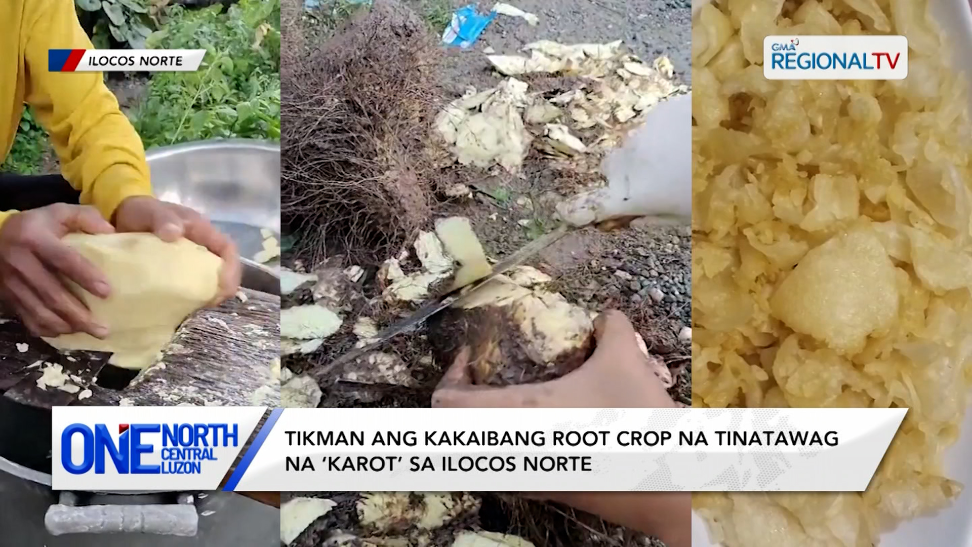 Tikman ang kakaibang root crop na tinatawag na ‘karot’ sa Ilocos Norte