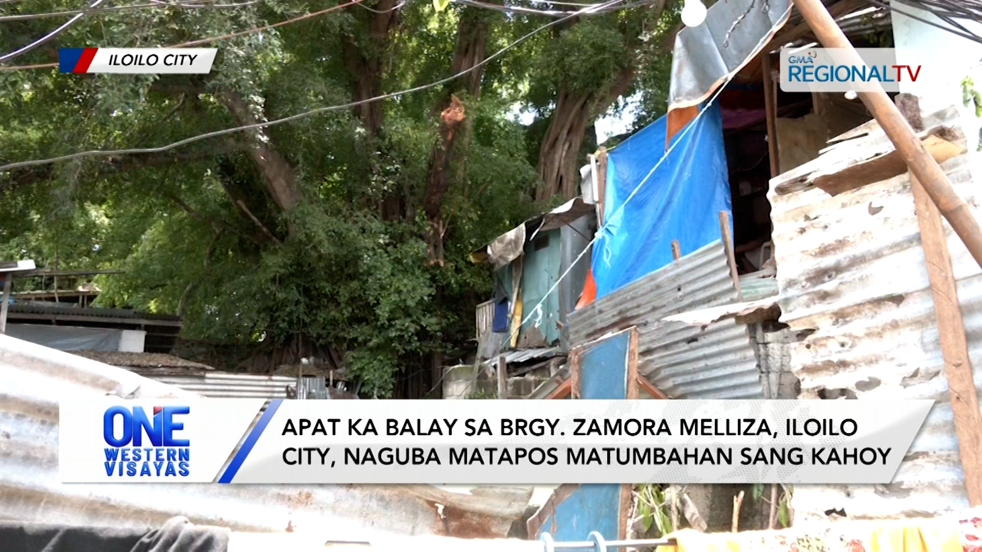 Apat ka balay sa Iloilo City, naguba matapos matumbahan sang kahoy