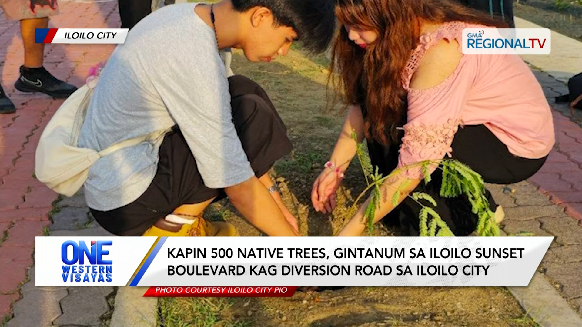 Kapin 500 native trees, gintanum sa Iloilo Sunset Boulevard kag Diversion Road