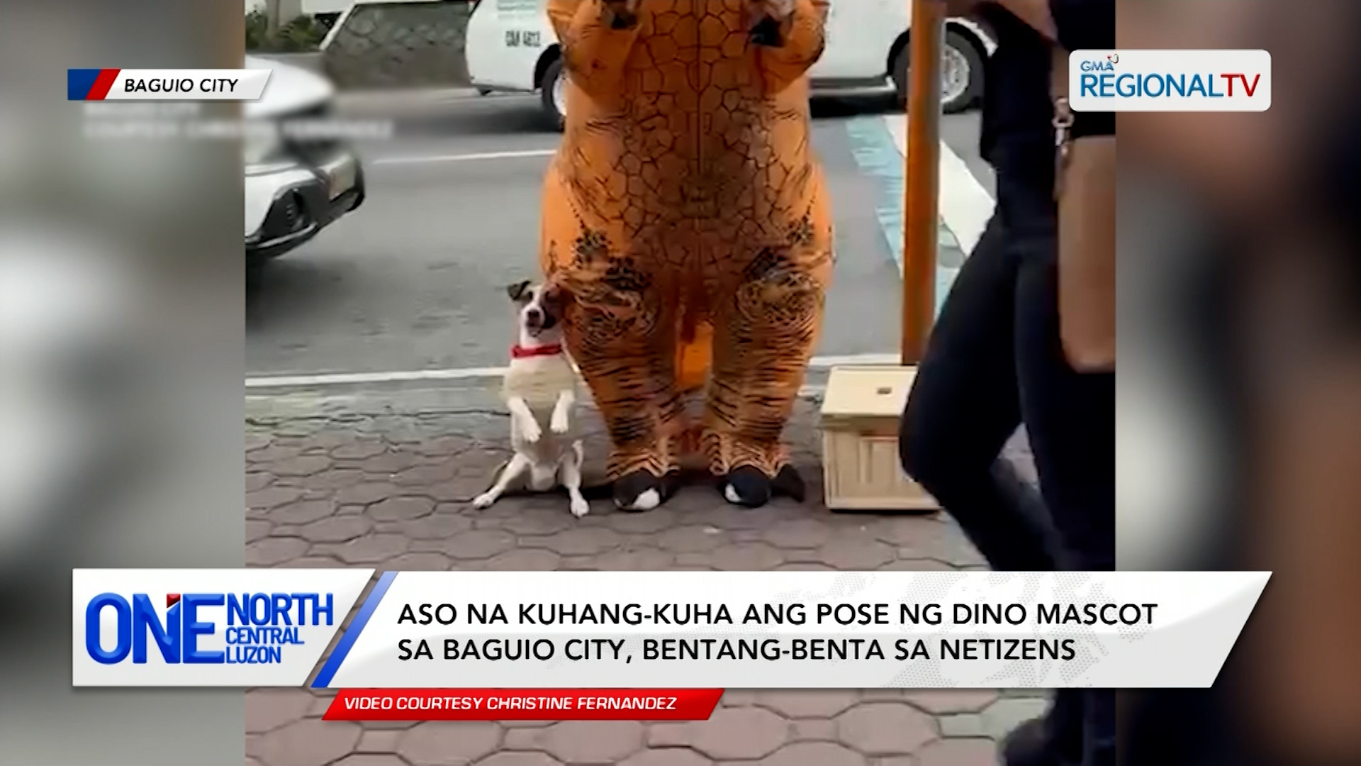 Aso na kuhang-kuha ang pose ng dino mascot, bentang-benta sa netizens