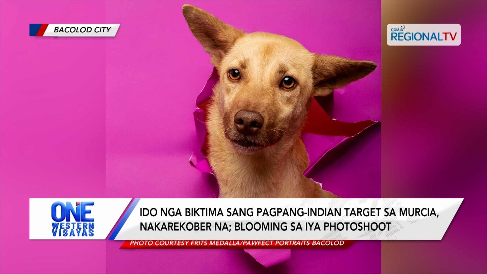 Ido nga gintiro sang indian target sa Murcia nakarekober; blooming sa photoshoot