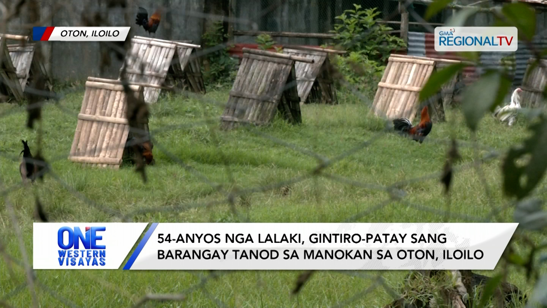 Lalaki, gintiro-patay sang barangay tanod sa manokan sa Oton, Iloilo | One Western Visayas