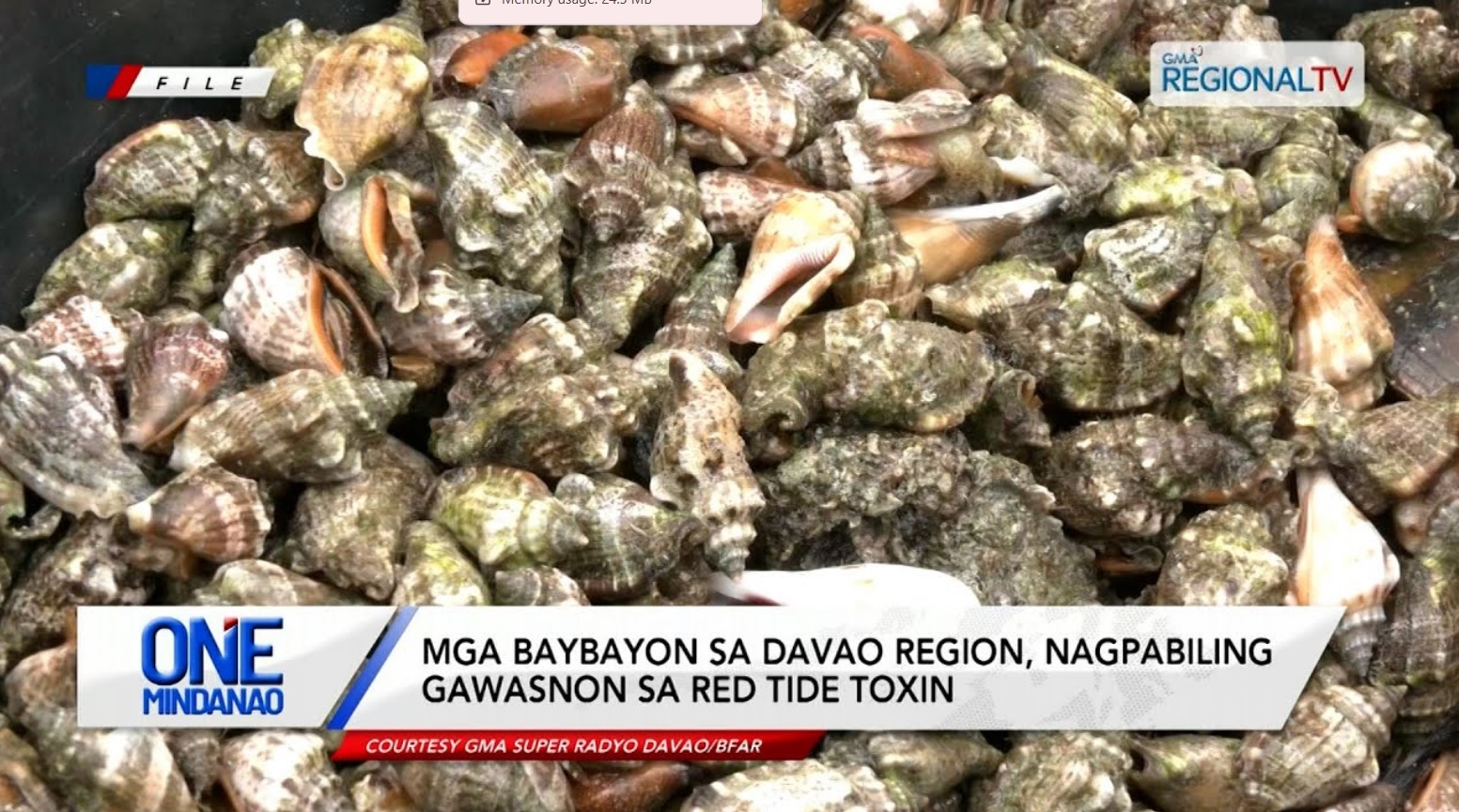 Mga baybayon sa Davao Region, gawasnon sa red tide toxin | One Mindanao