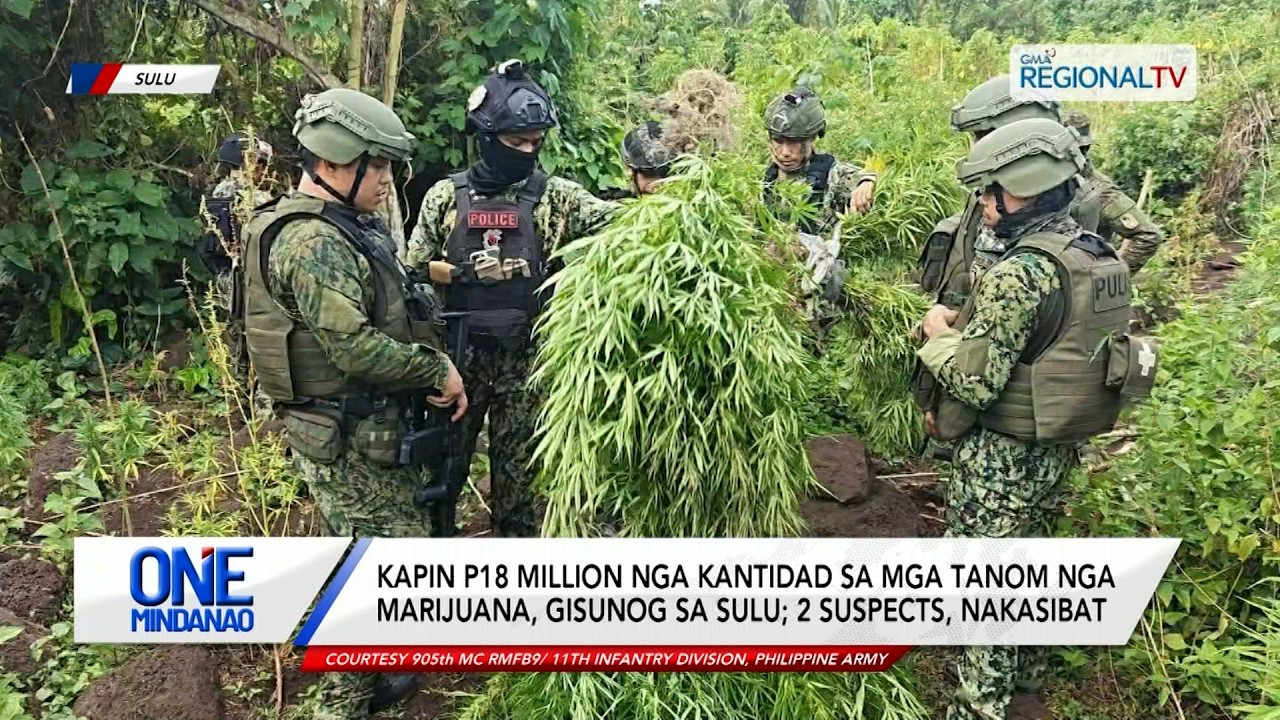Kapin P18 million nga kantidad sa mga tanom nga marijuana, gisunog | One Mindanao