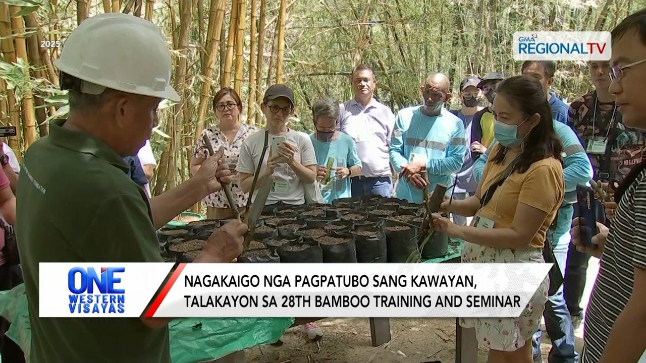 Nagakaigo nga pagpatubo sang kawayan, talakayon sa 28th Bamboo Training| One Western Visayas