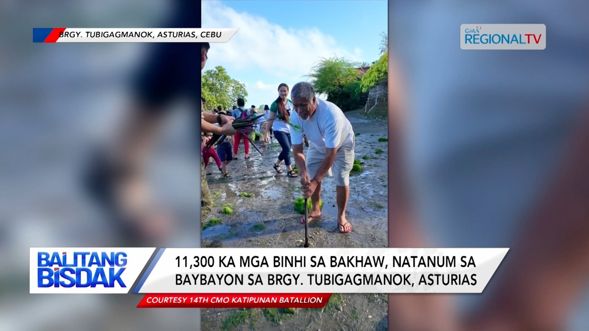 11,300 ka mga Binhi sa Bakhaw, Natanum sa Asturias | Balitang Bisdak