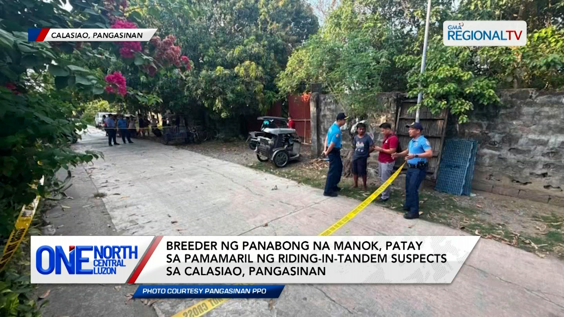 Breeder ng panabong na manok, patay sa pamamaril | One North Central Luzon