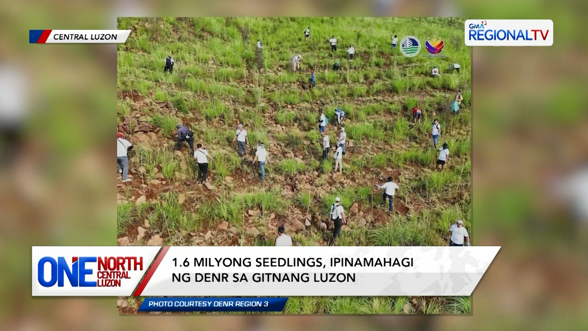 1.6 milyong seedlings, ipinamahagi ng DENR sa Gitnang Luzon | One North Central Luzon