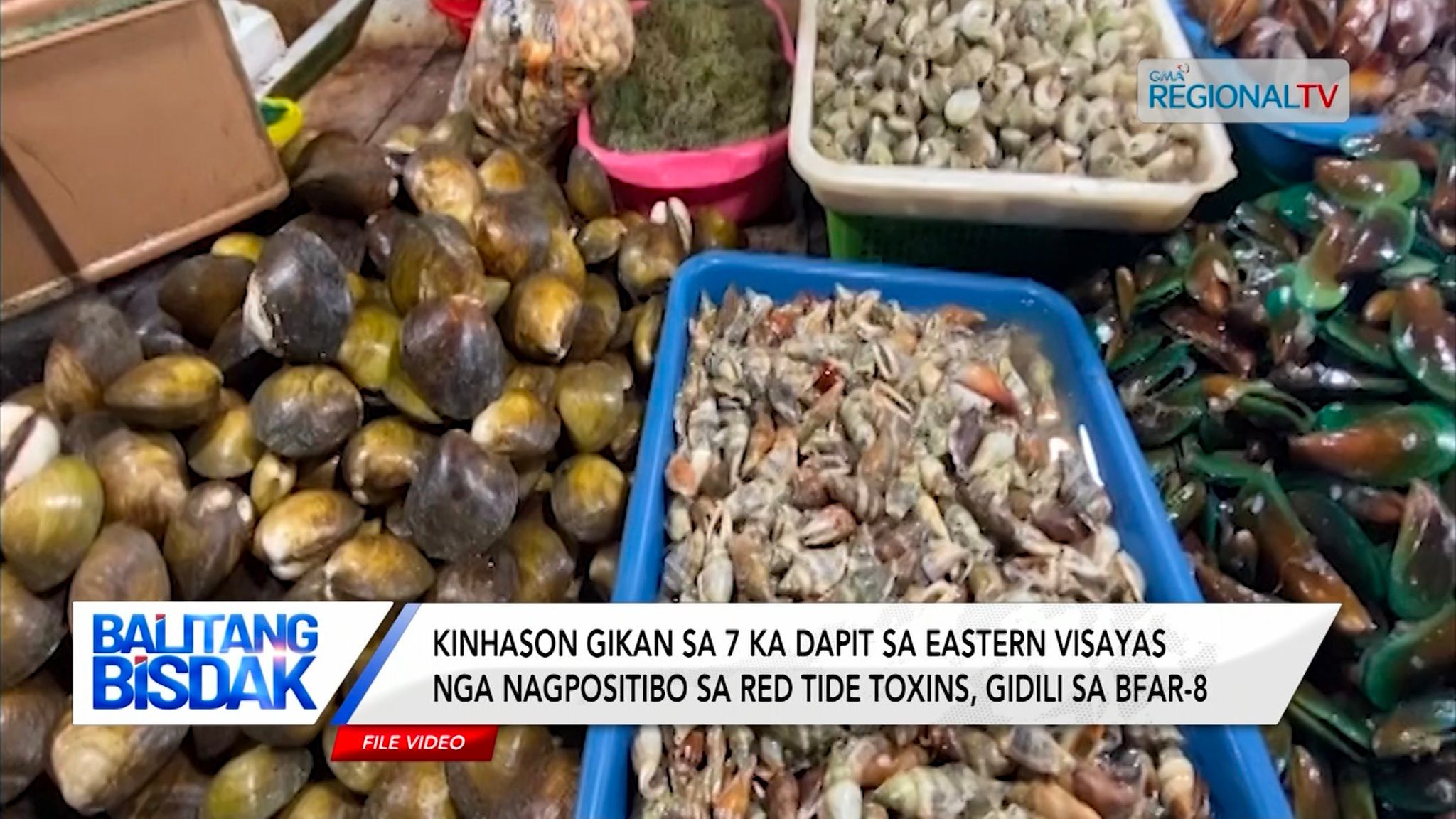 Red tide alert, giisa sa 7 ka dapit sa Eastern Visayas