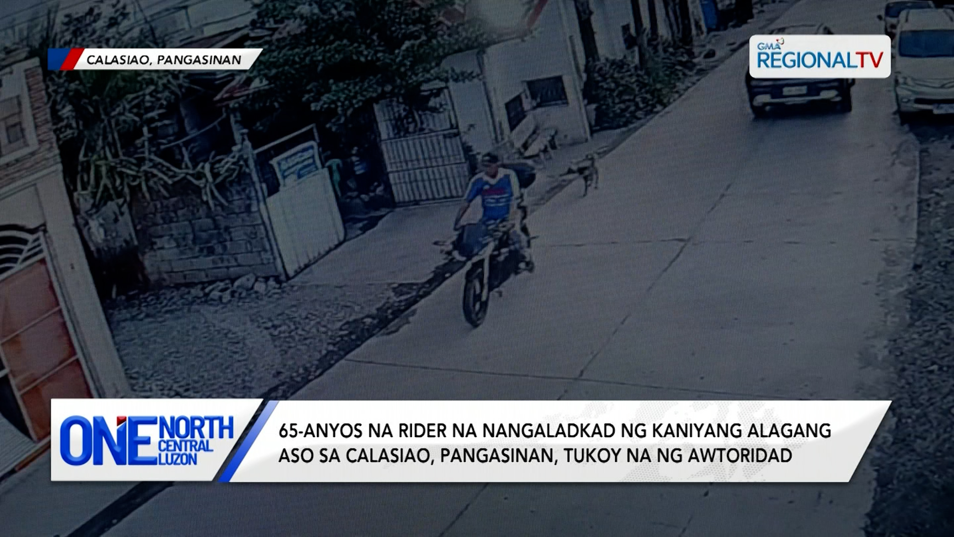 65-anyos na rider na nangaladkad ng kaniyang alagang aso, tukoy na